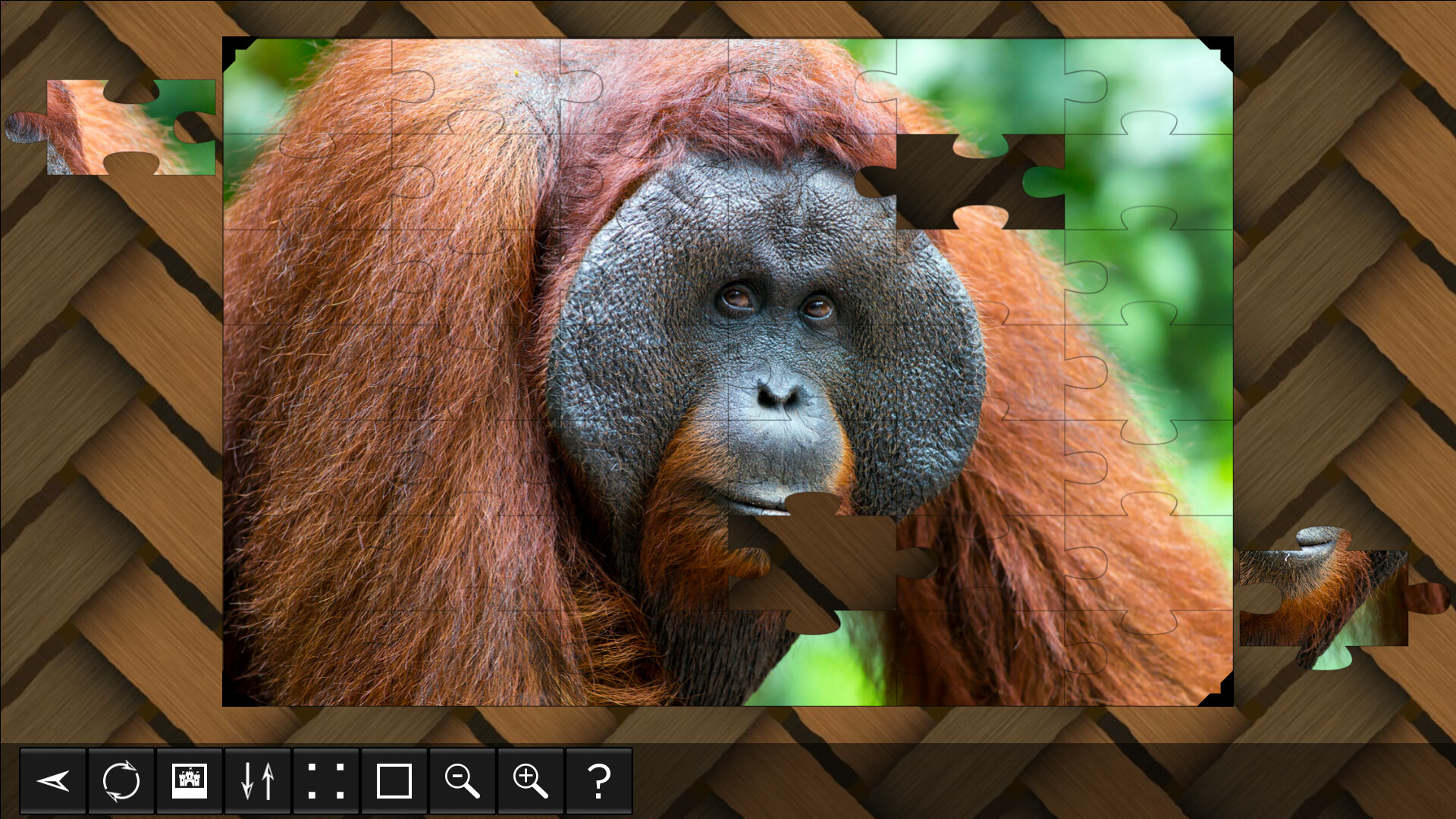 Jigsaw Puzzle World: Primates
