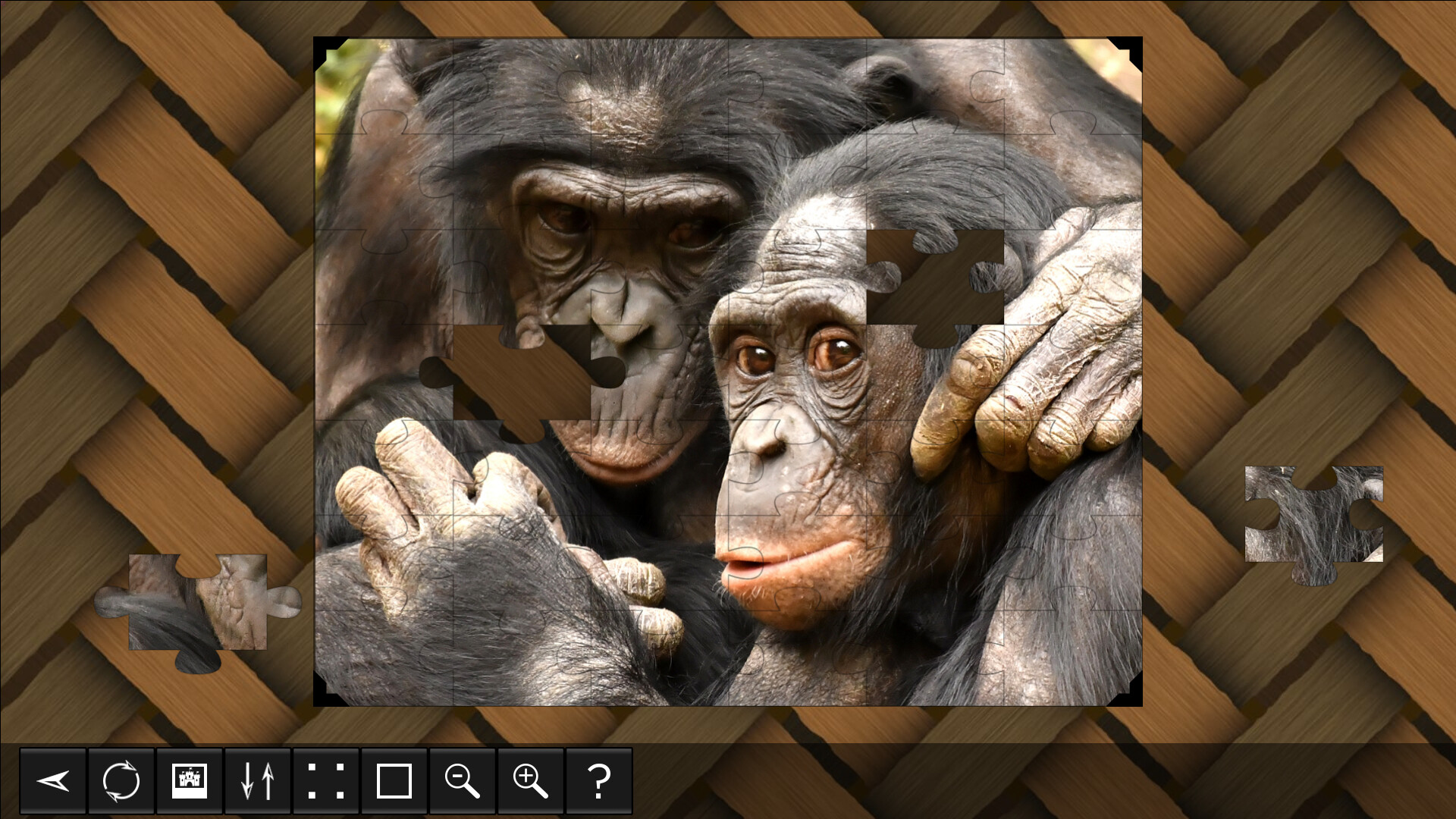 Jigsaw Puzzle World: Primates