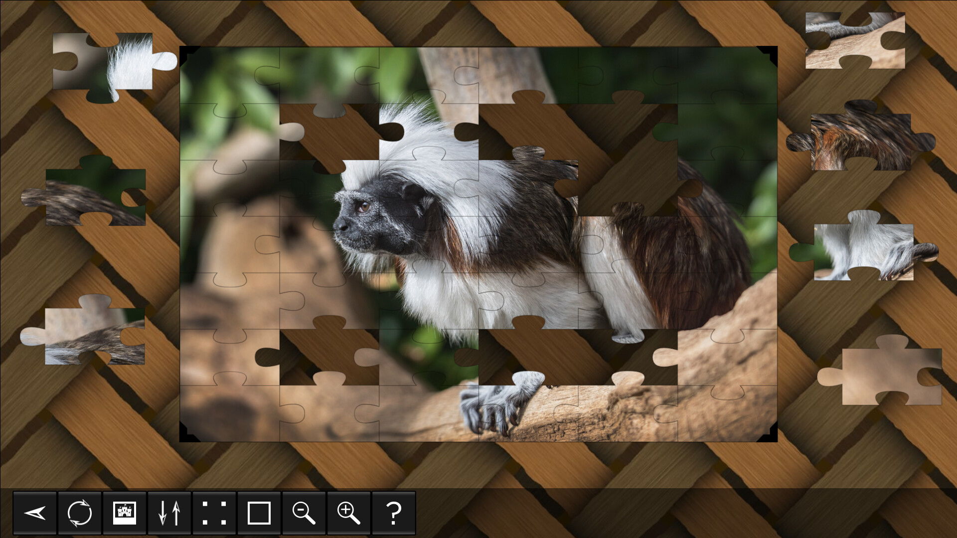 Jigsaw Puzzle World: Primates
