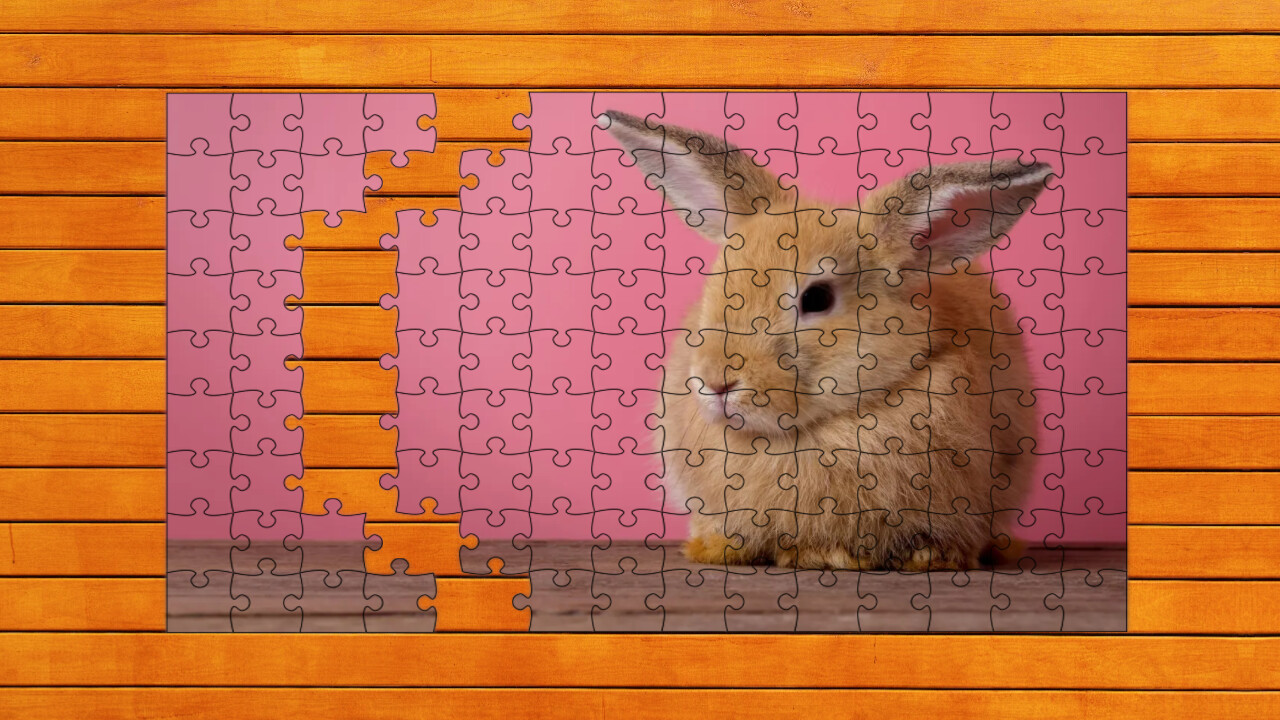 Paw &amp; Hop Jigsaw Quest: Expansion Pack 3