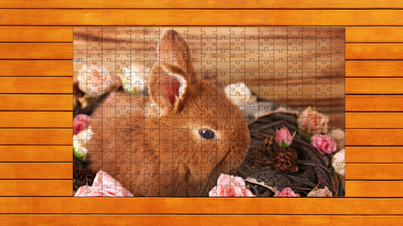 Paw &amp; Hop Jigsaw Quest: Expansion Pack 3