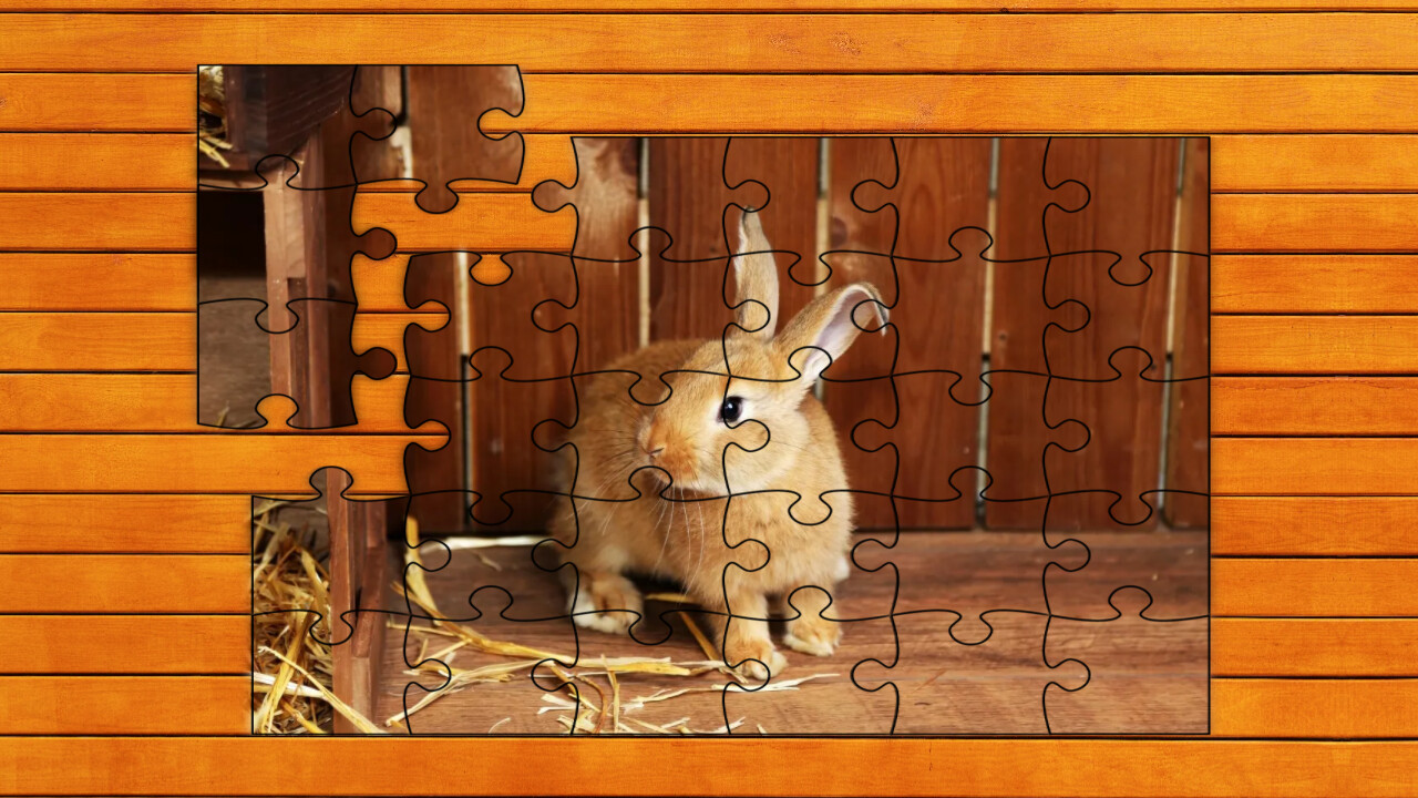 Paw &amp; Hop Jigsaw Quest