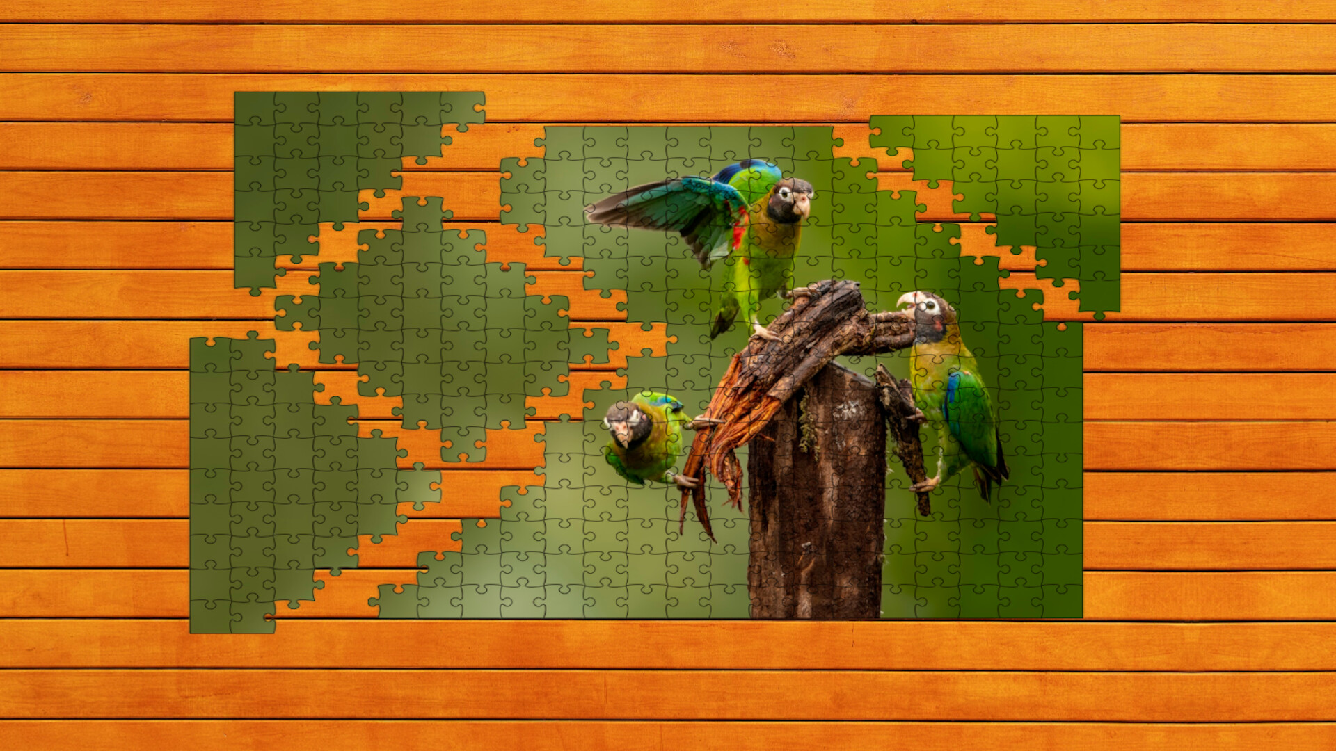 Whispers of Wings Jigsaw Puzzles: Expansion Pack 2