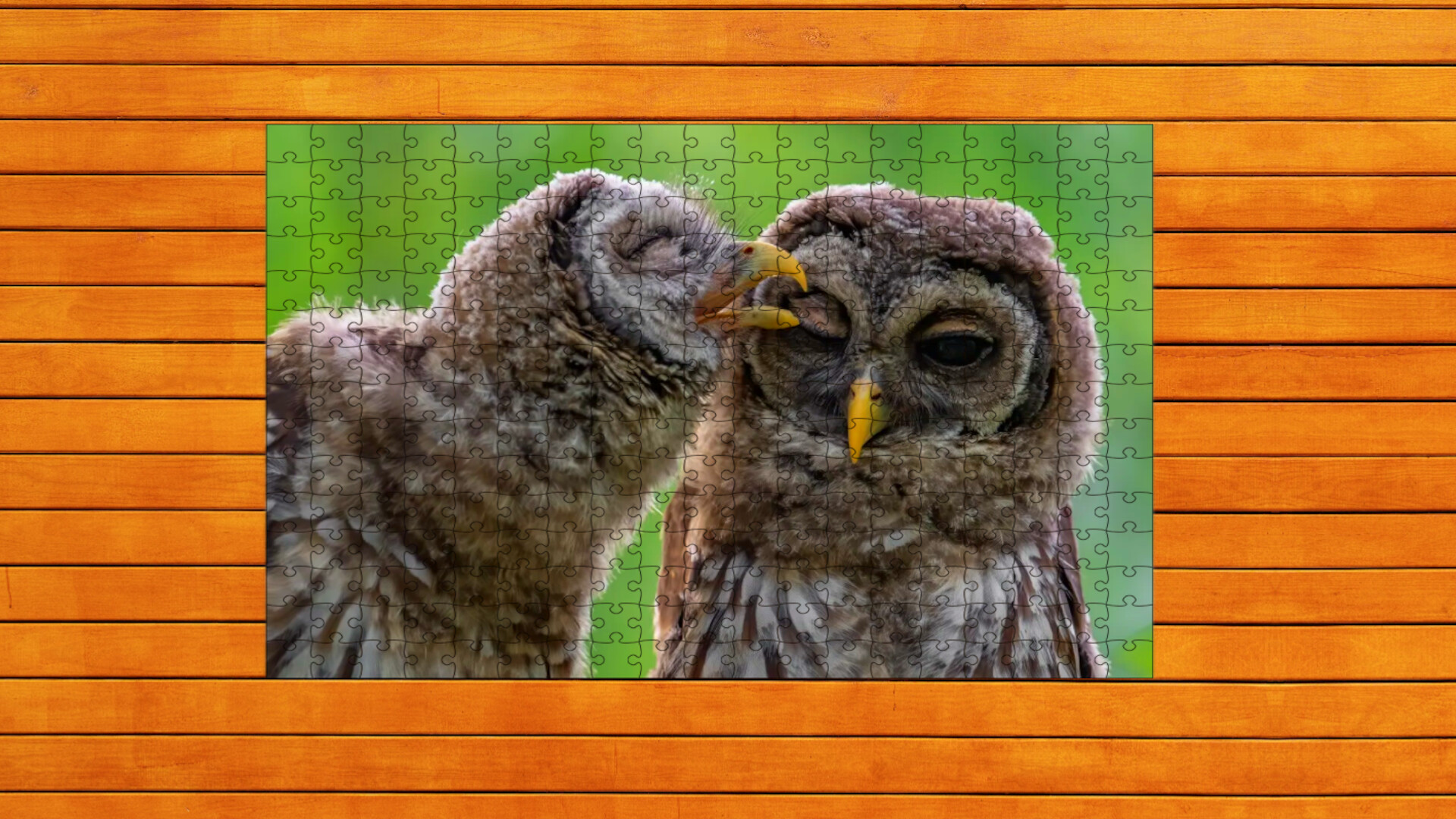 Whispers of Wings Jigsaw Puzzles: Expansion Pack 4