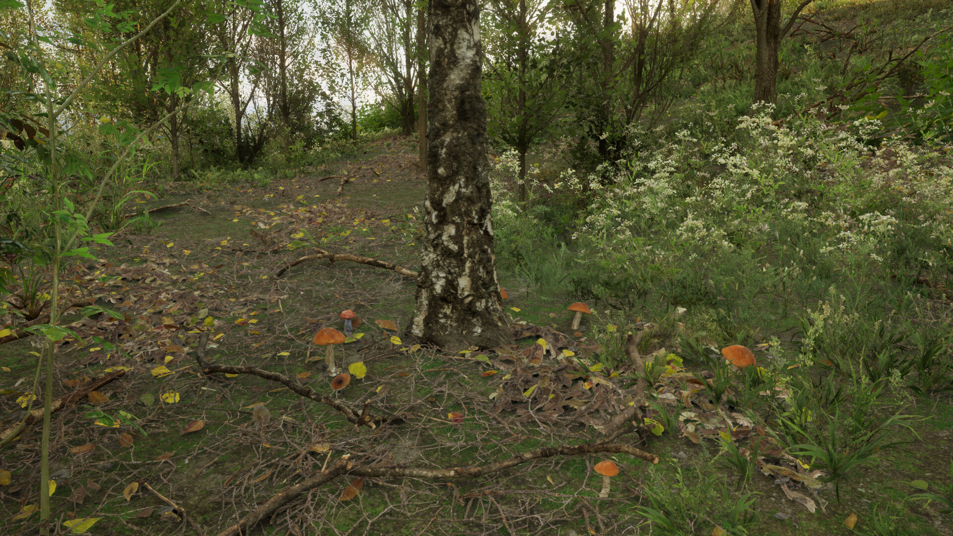 Forest Doesn’t Care