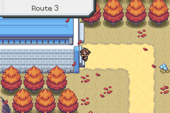 Pokémon Peach Version