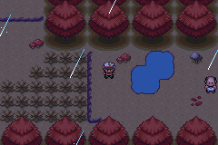 Pokémon Peach Version