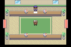 Pokémon Peach Version