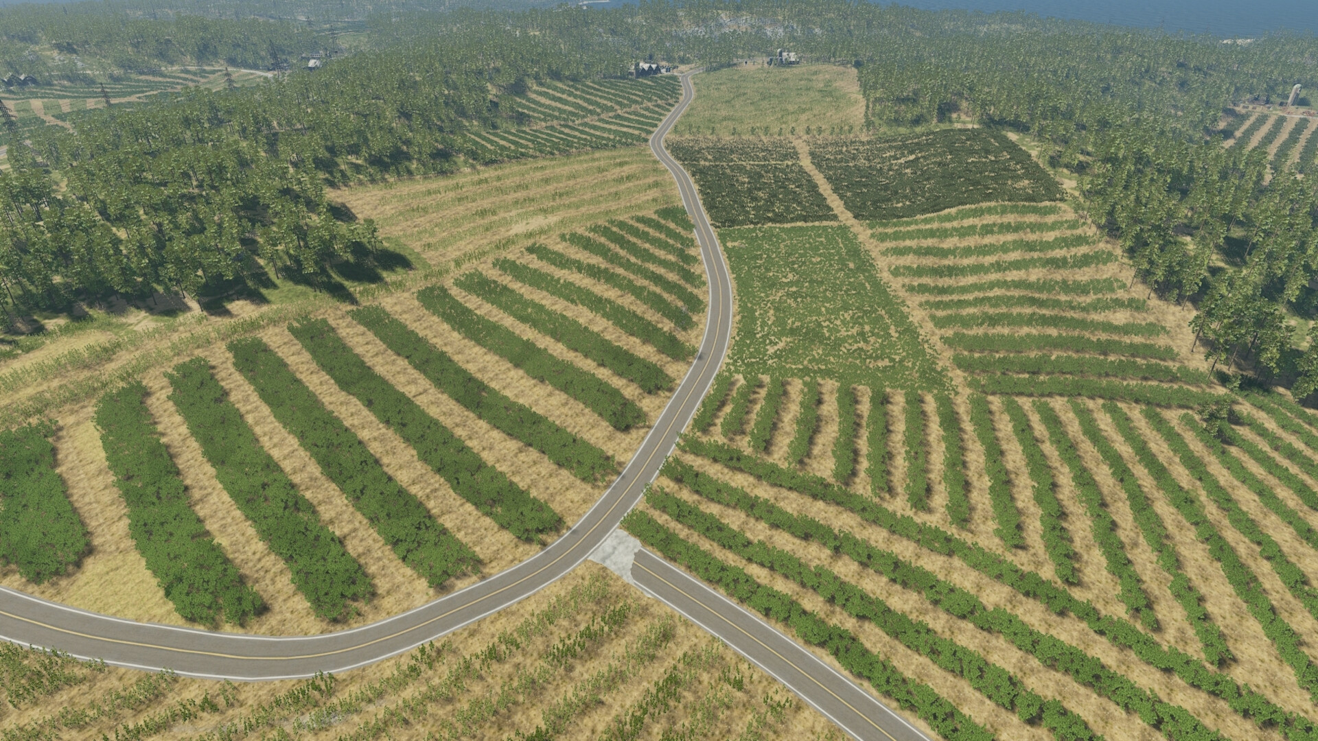 The Island of Bad Women