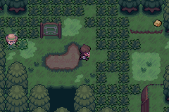 Pokémon Sors 2
