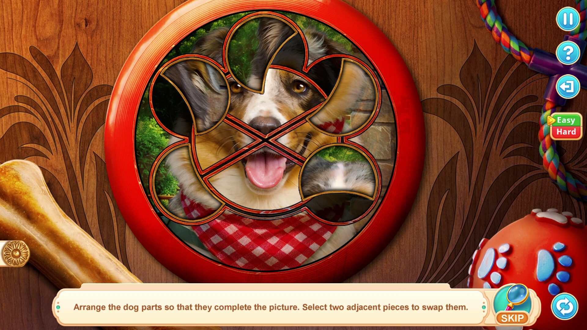 Home for Friends: Beloved Pets – Collector’s Edition