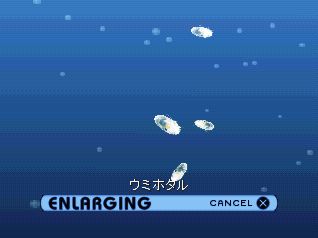 Aquanaut’s Holiday 2