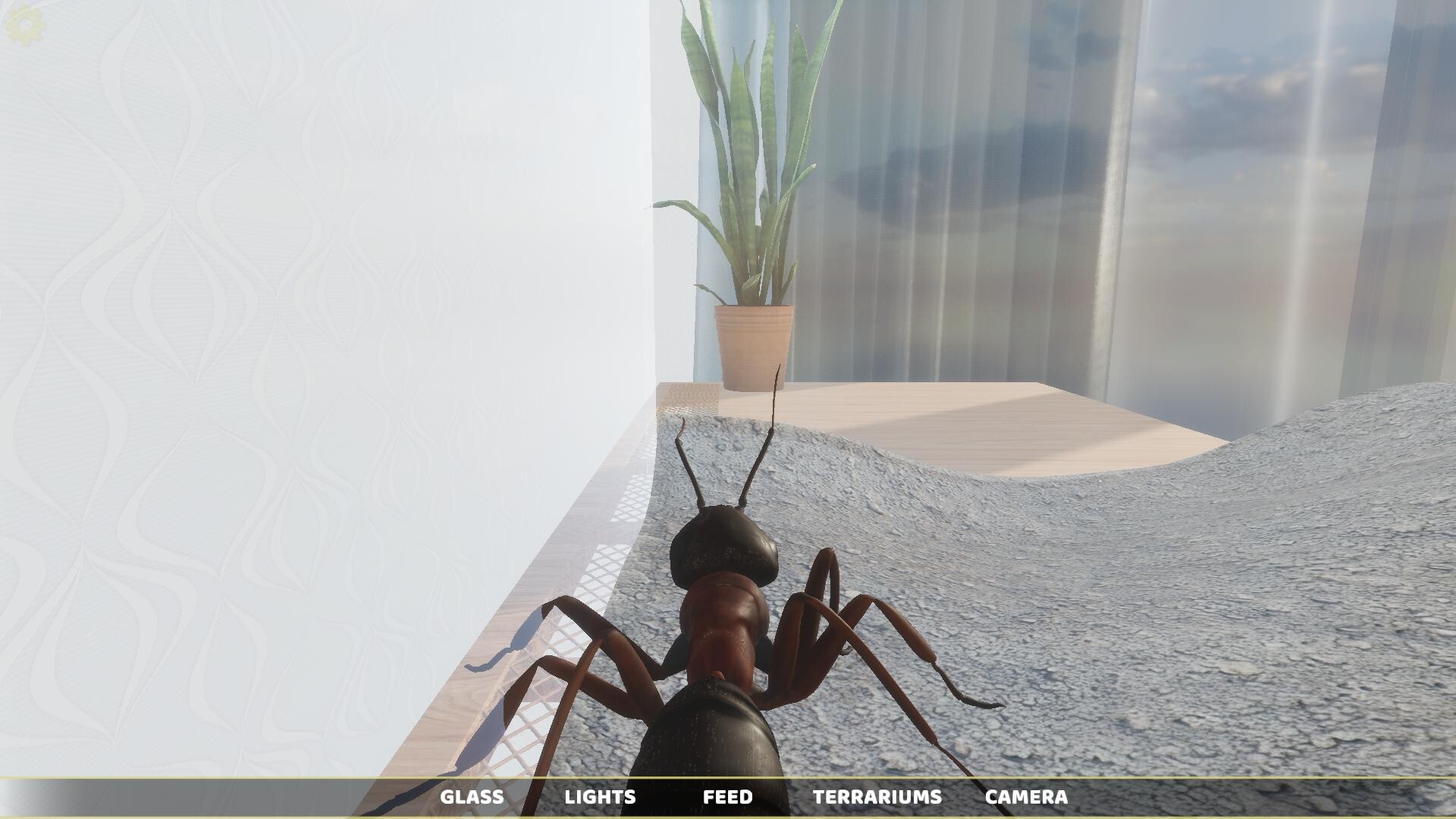 Ant Simulator