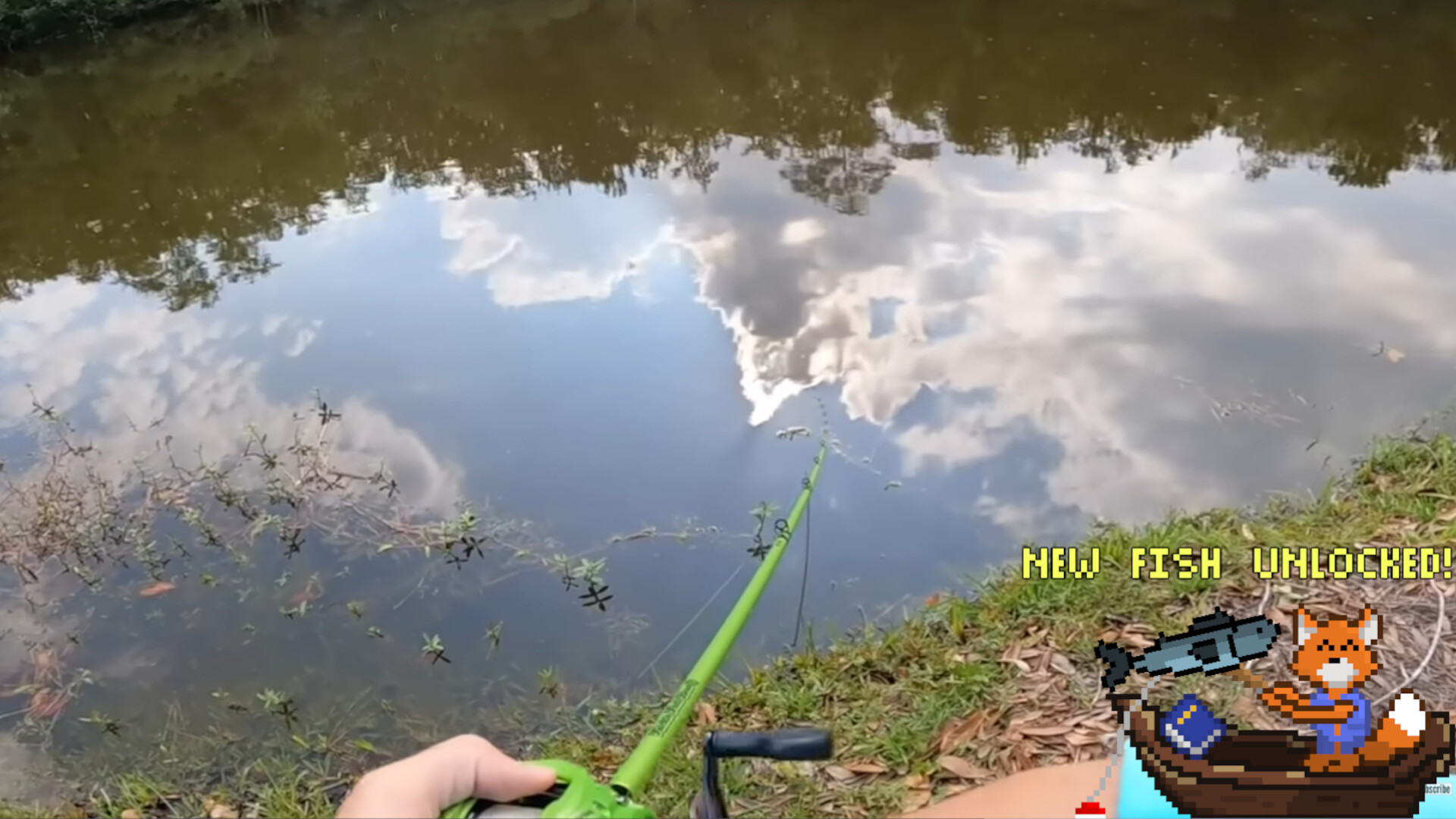 My Fishing Desktop