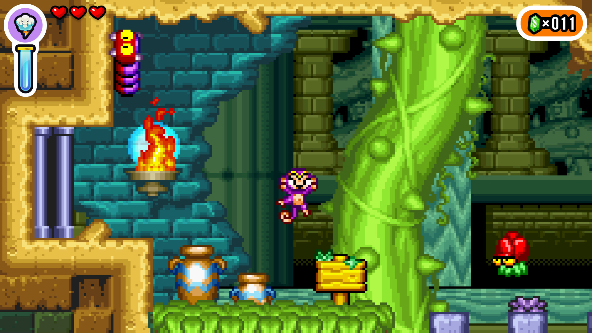 Shantae Advance: Risky Revolution Deluxe Edition