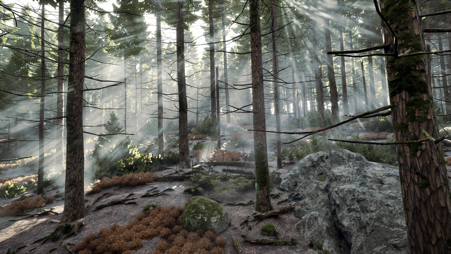 Prologue: Go Wayback!