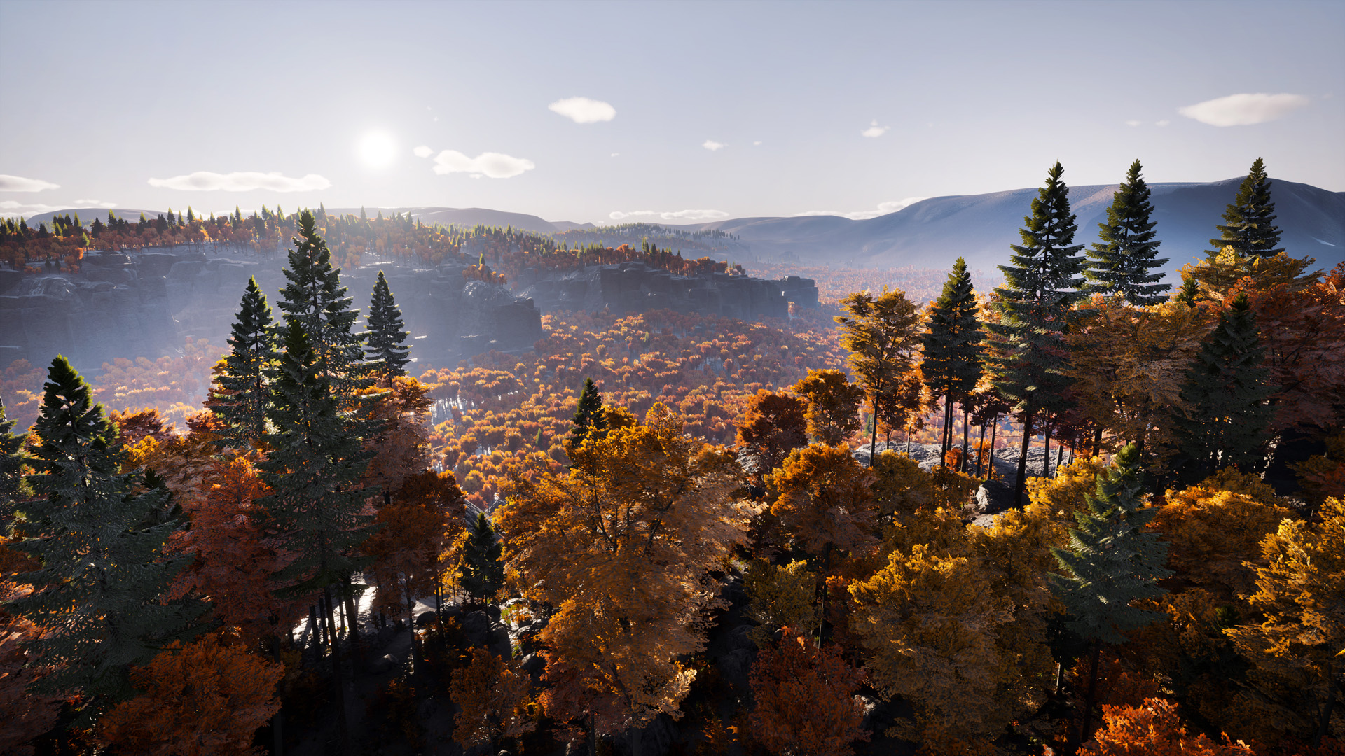 Prologue: Go Wayback!