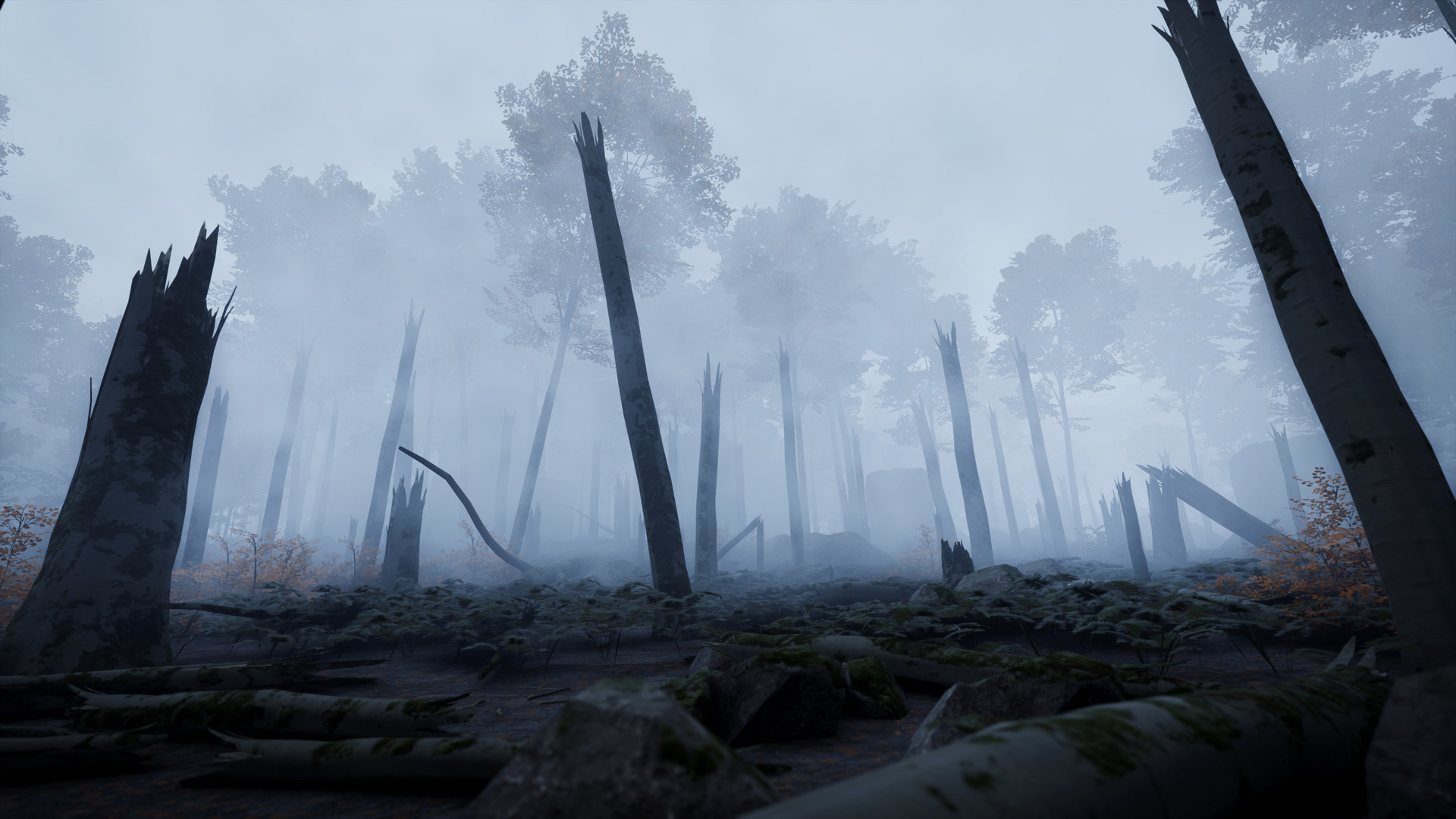 Prologue: Go Wayback!