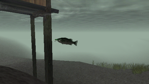 Reel Fishing: The Great Outdoors