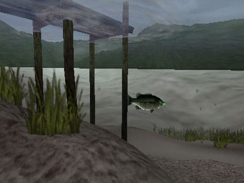 Reel Fishing: The Great Outdoors