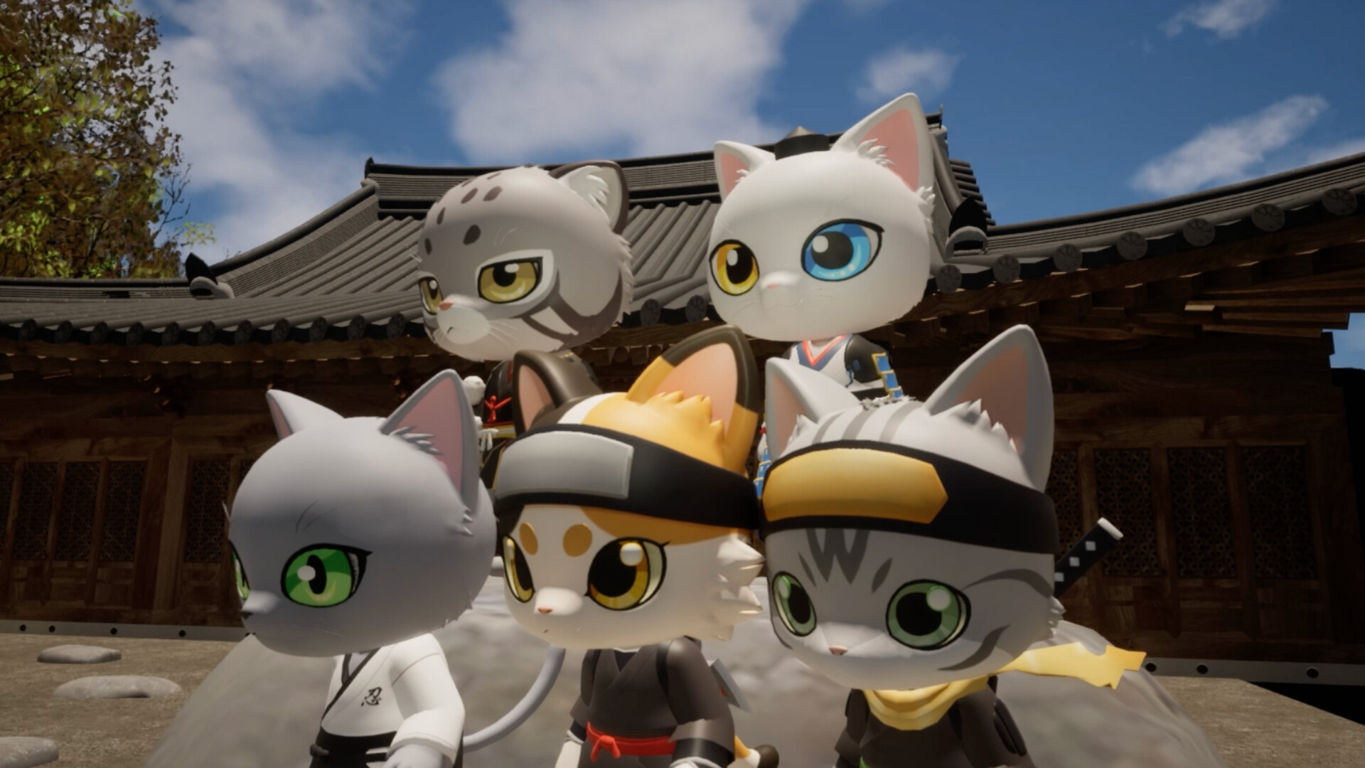 Ninja Cats: Tactics