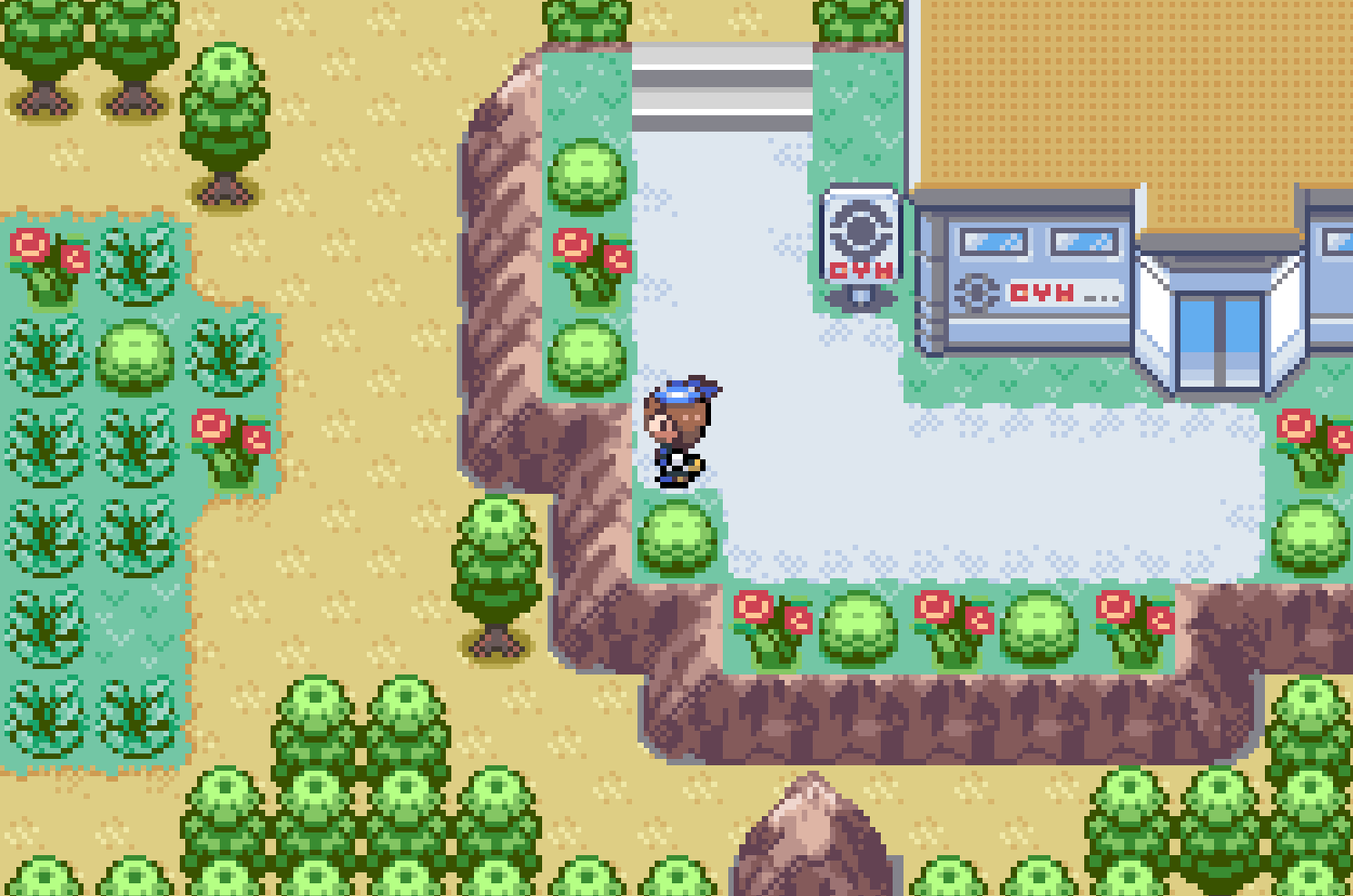 Pokémon Royal Sapphire
