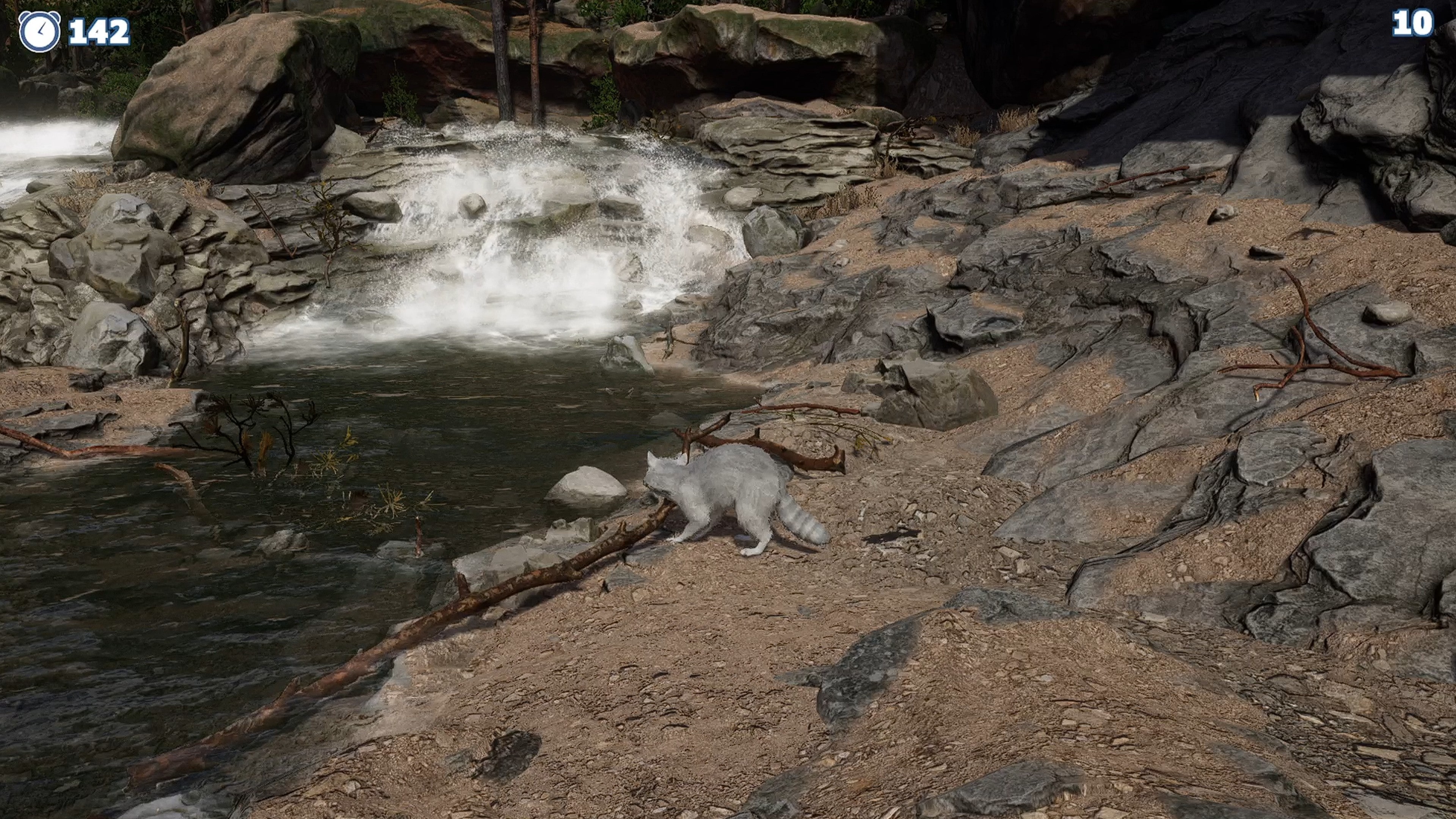 Cazzarion: Raccoon Valley