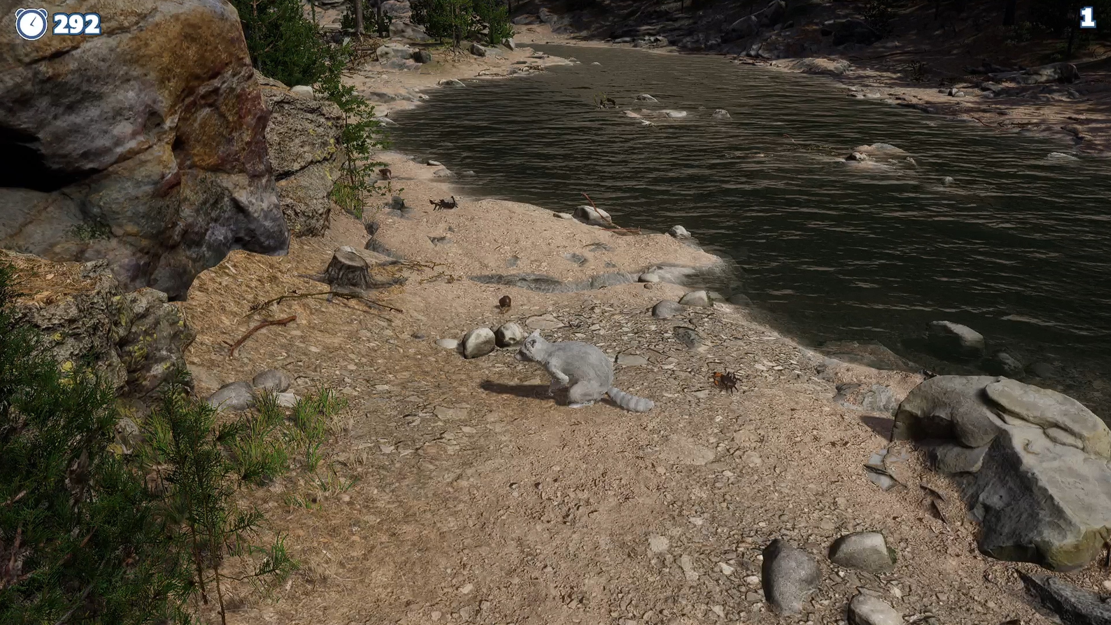 Cazzarion: Raccoon Valley