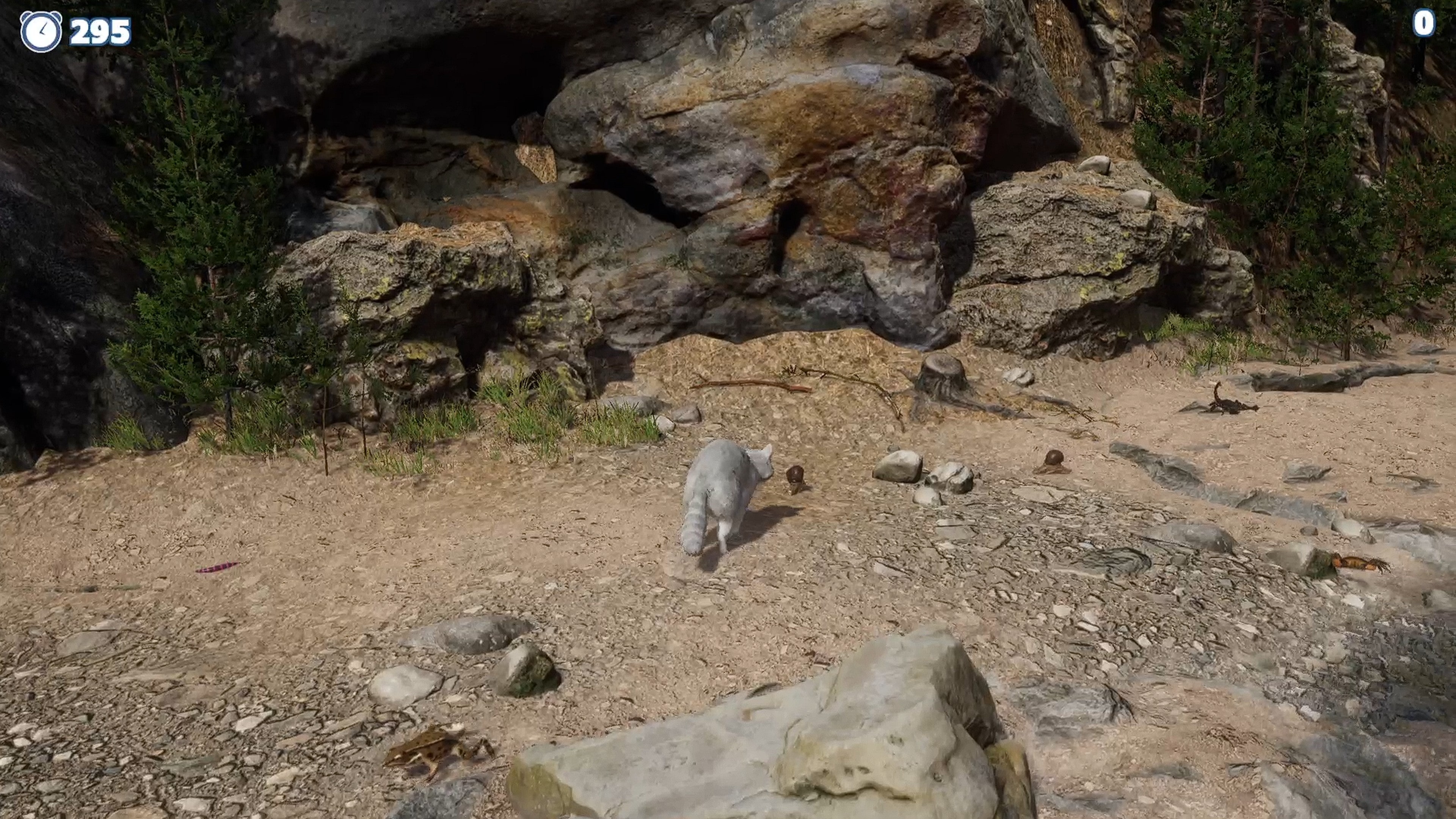 Cazzarion: Raccoon Valley