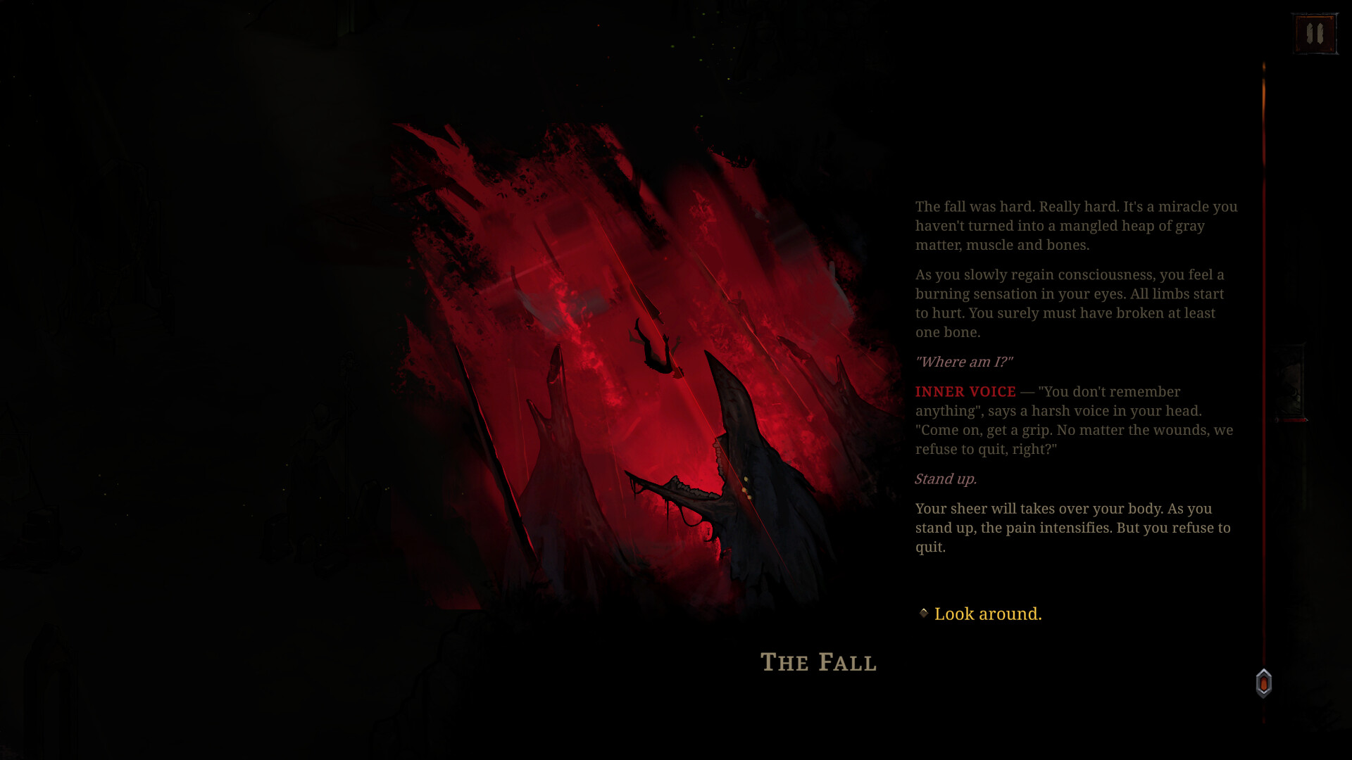 Shards of Order