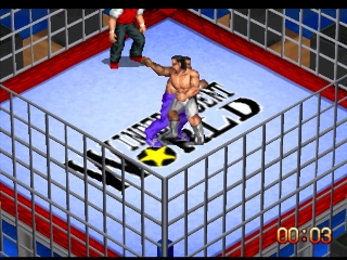 Fire Pro Wrestling G