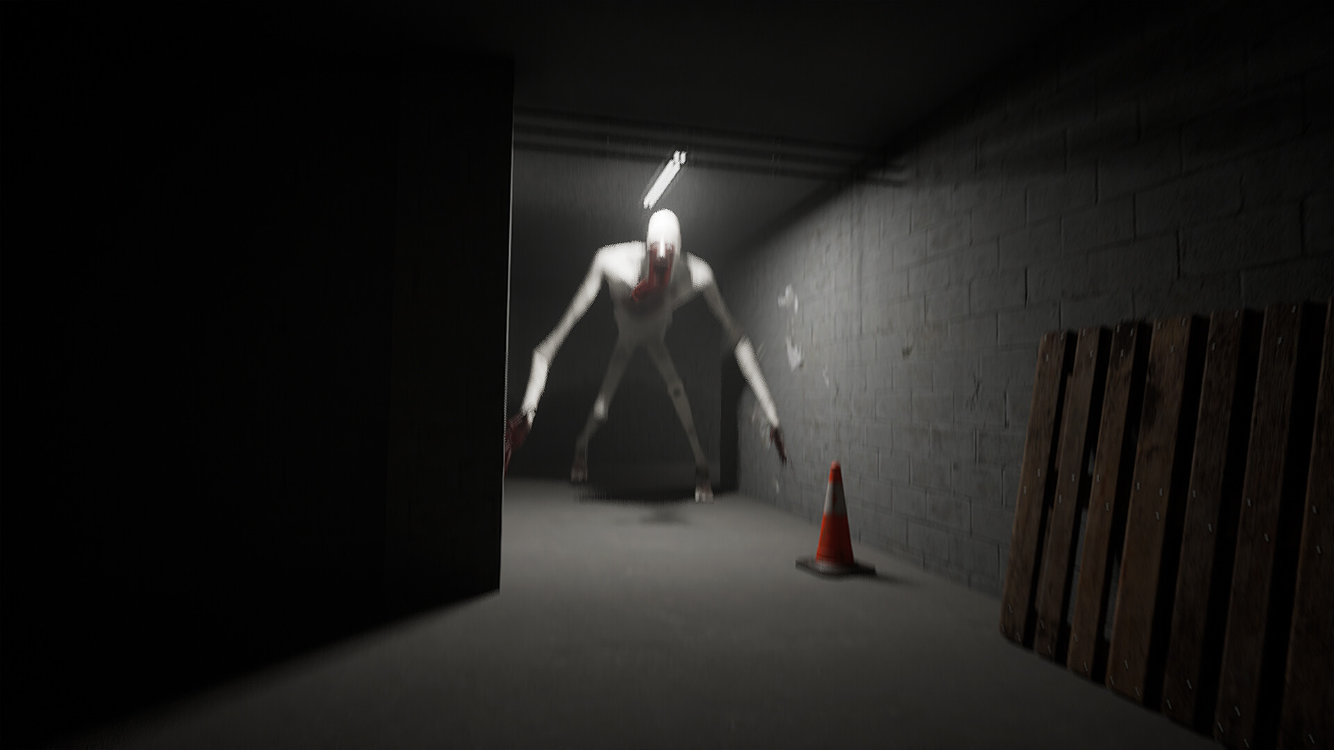 SCP: Experiments