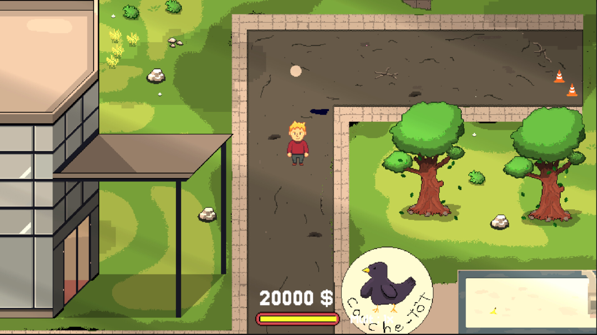 Bling Bling Bankruptcy