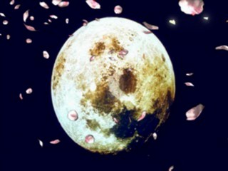 Yamasa Digi Guide: Umekagetsu R