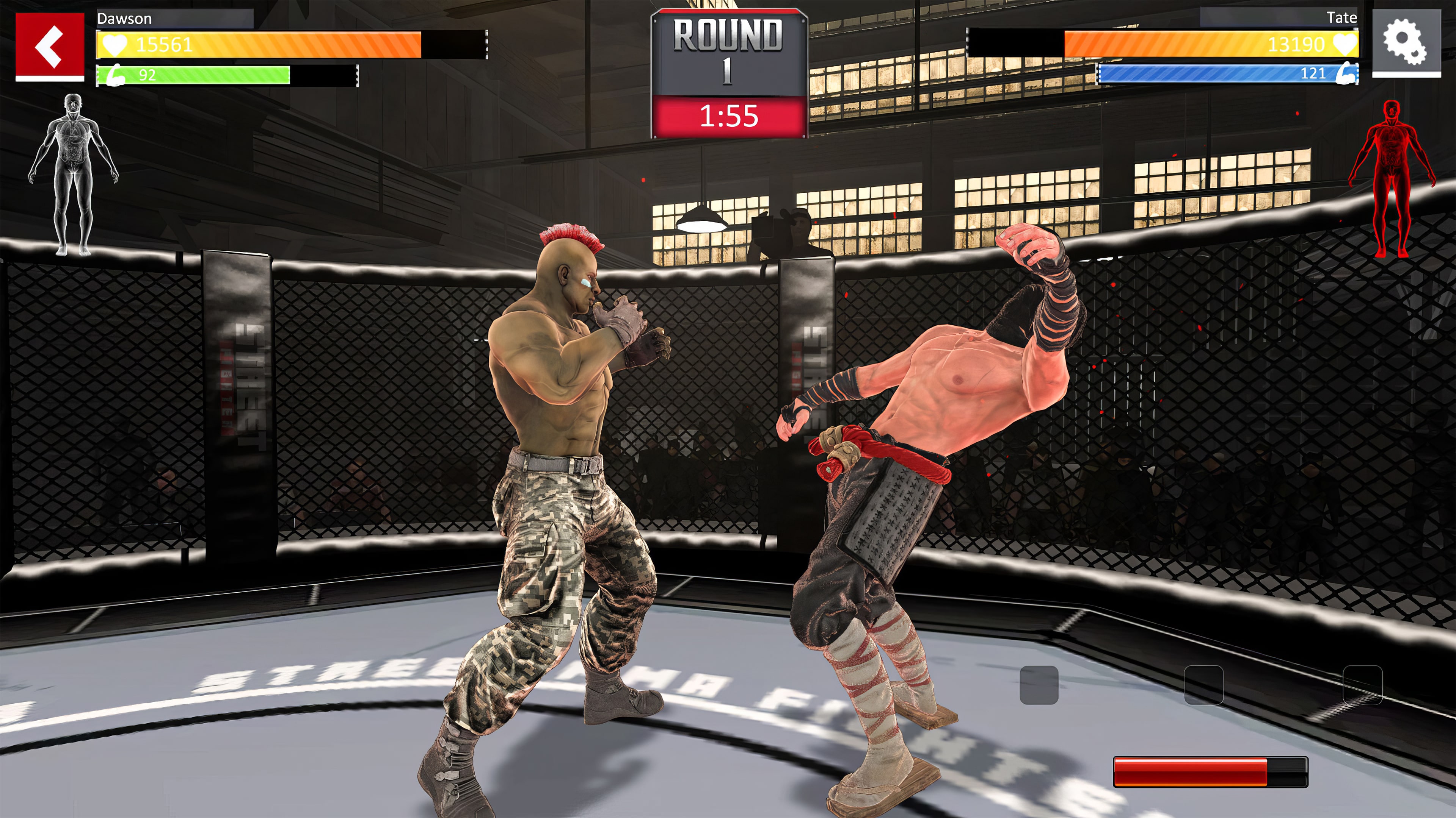 Street Combat: Ultimate MMA Fighters