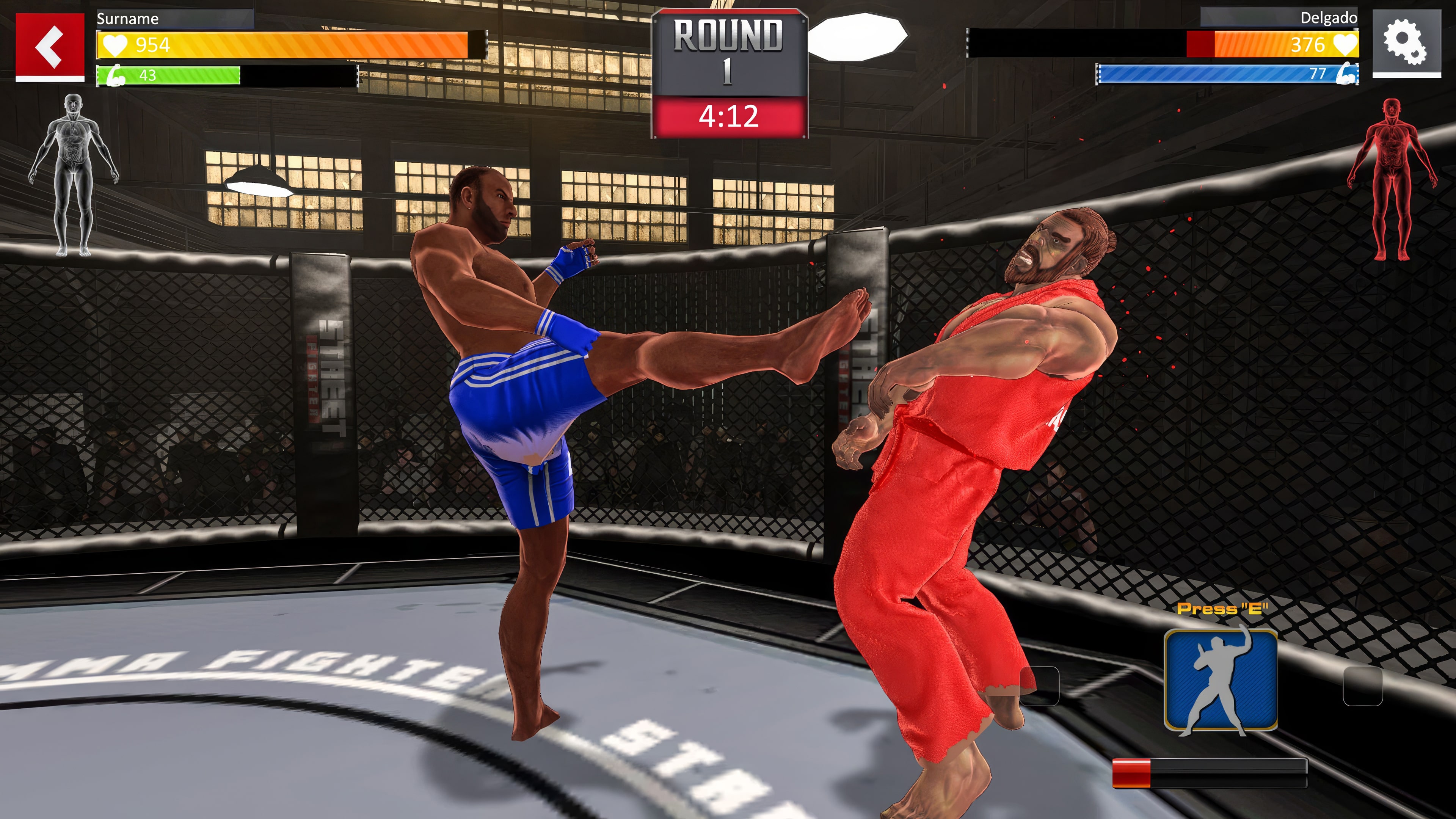 Street Combat: Ultimate MMA Fighters