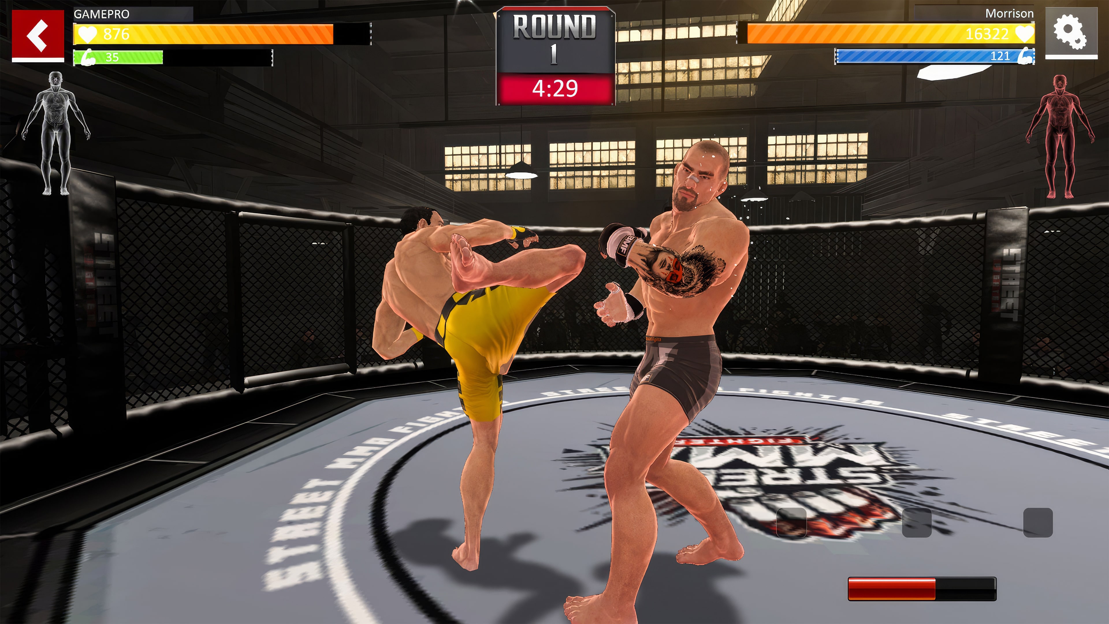 Street Combat: Ultimate MMA Fighters