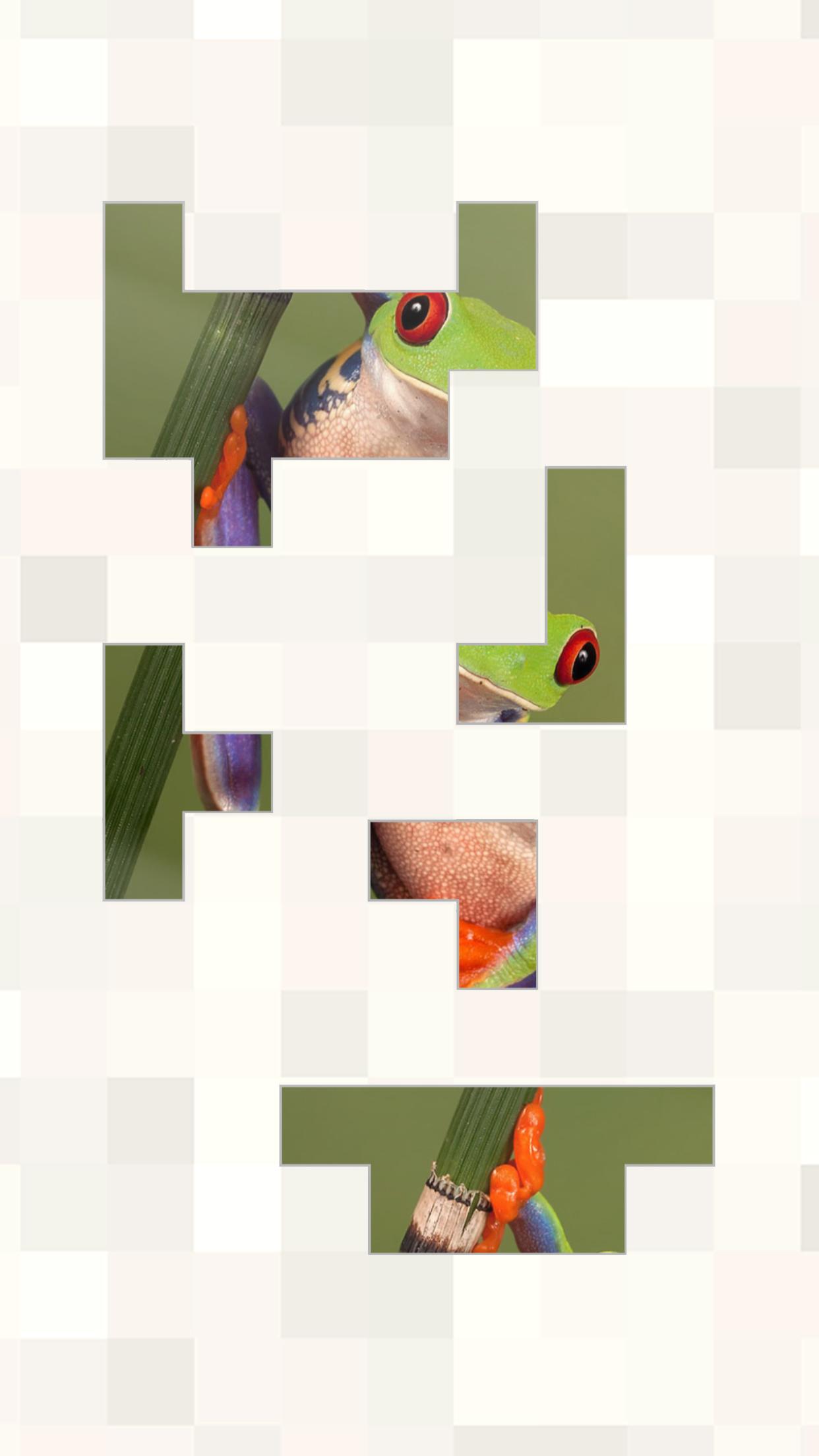 Bonza Jigsaw