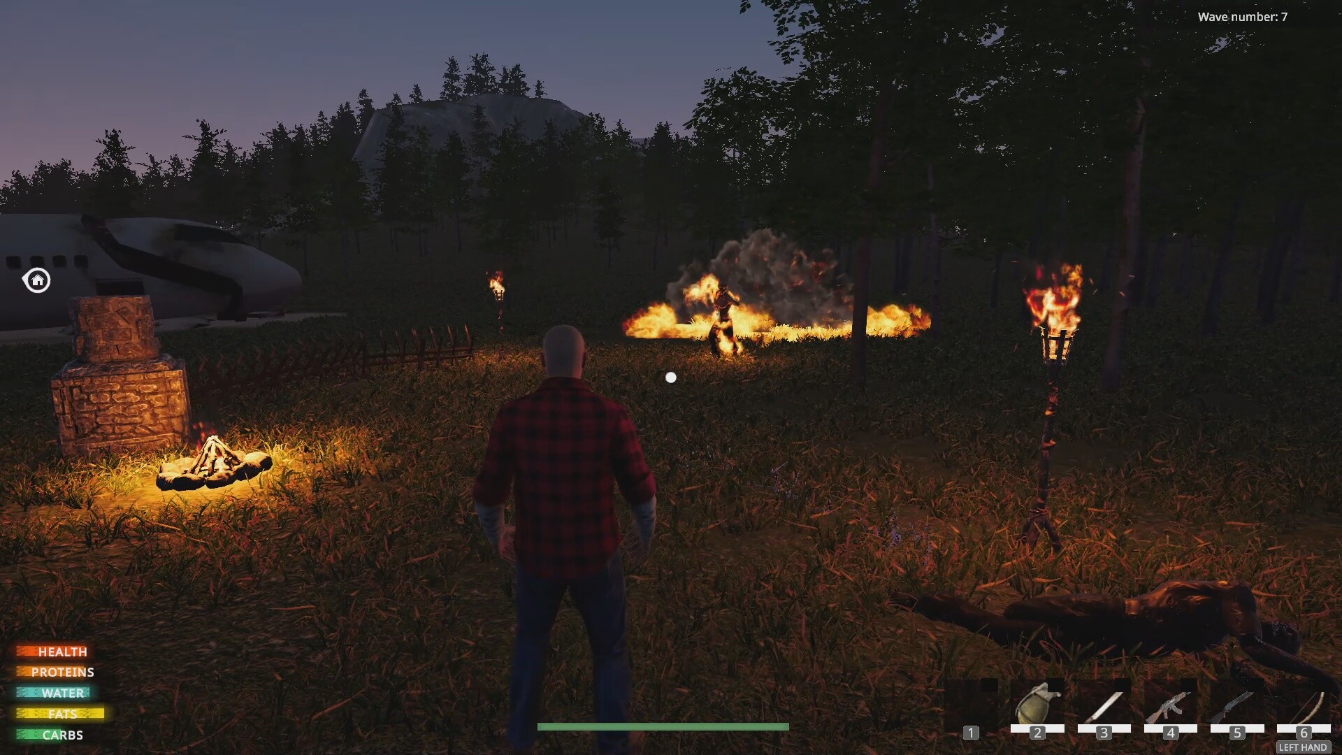 Lost Flight: Survival