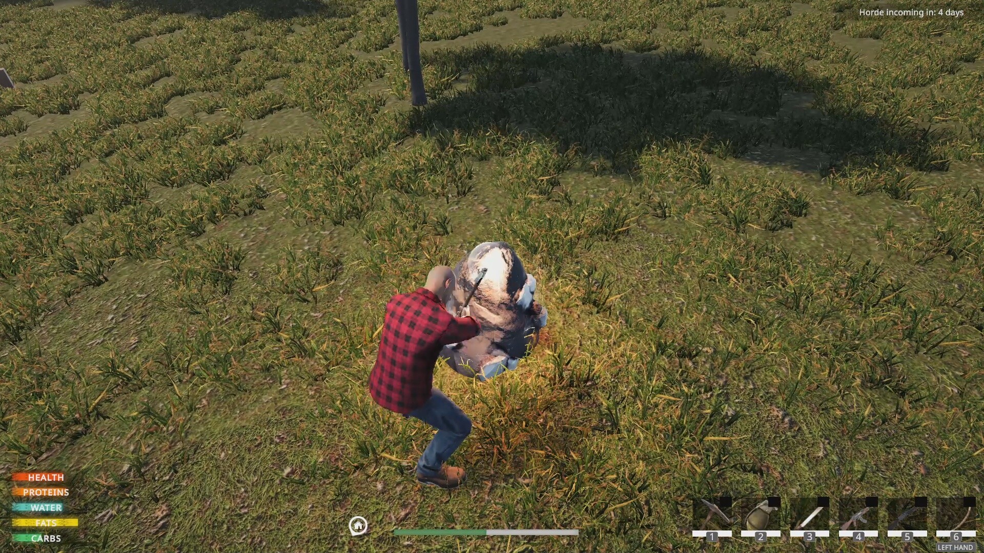 Lost Flight: Survival