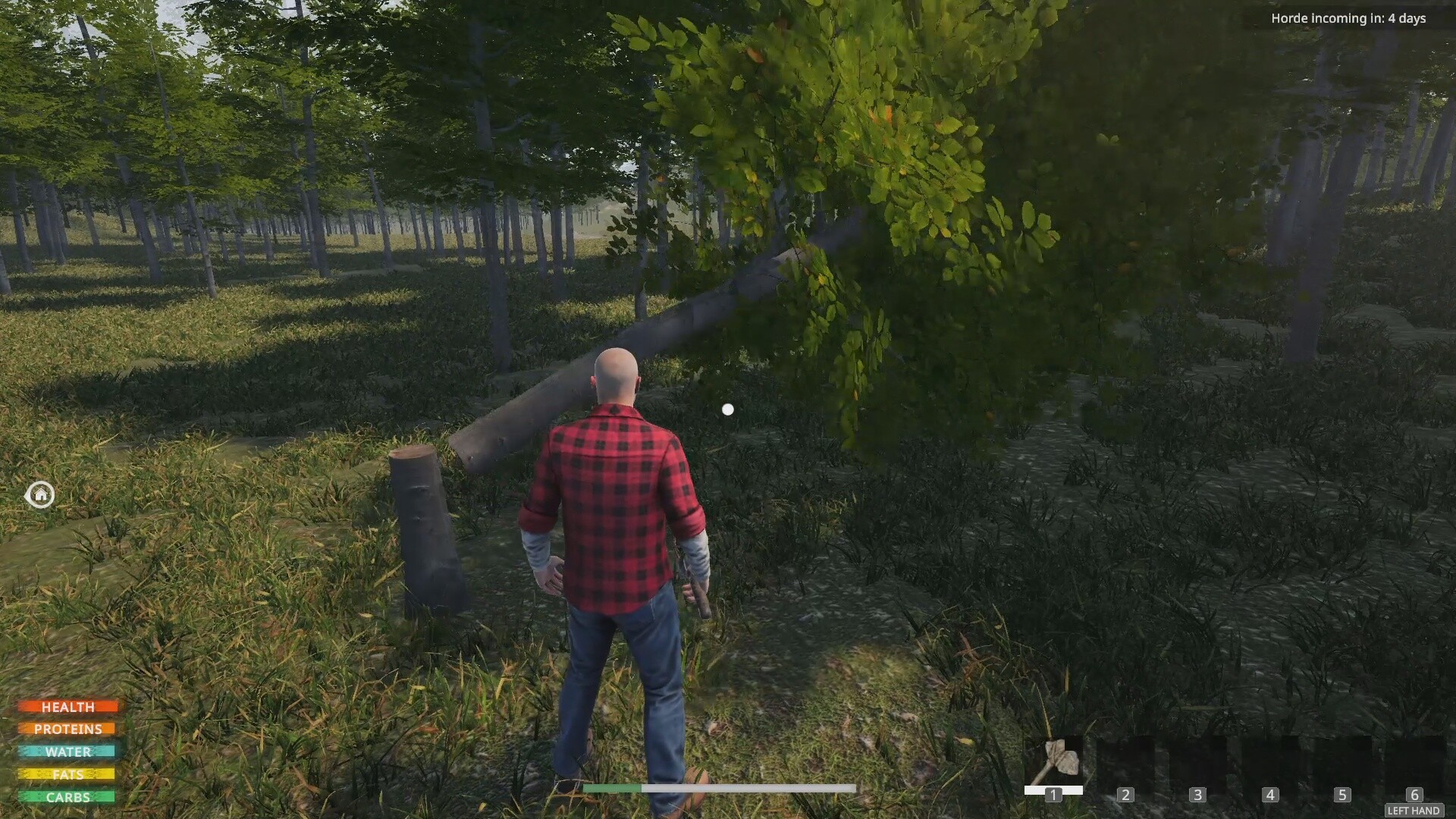 Lost Flight: Survival