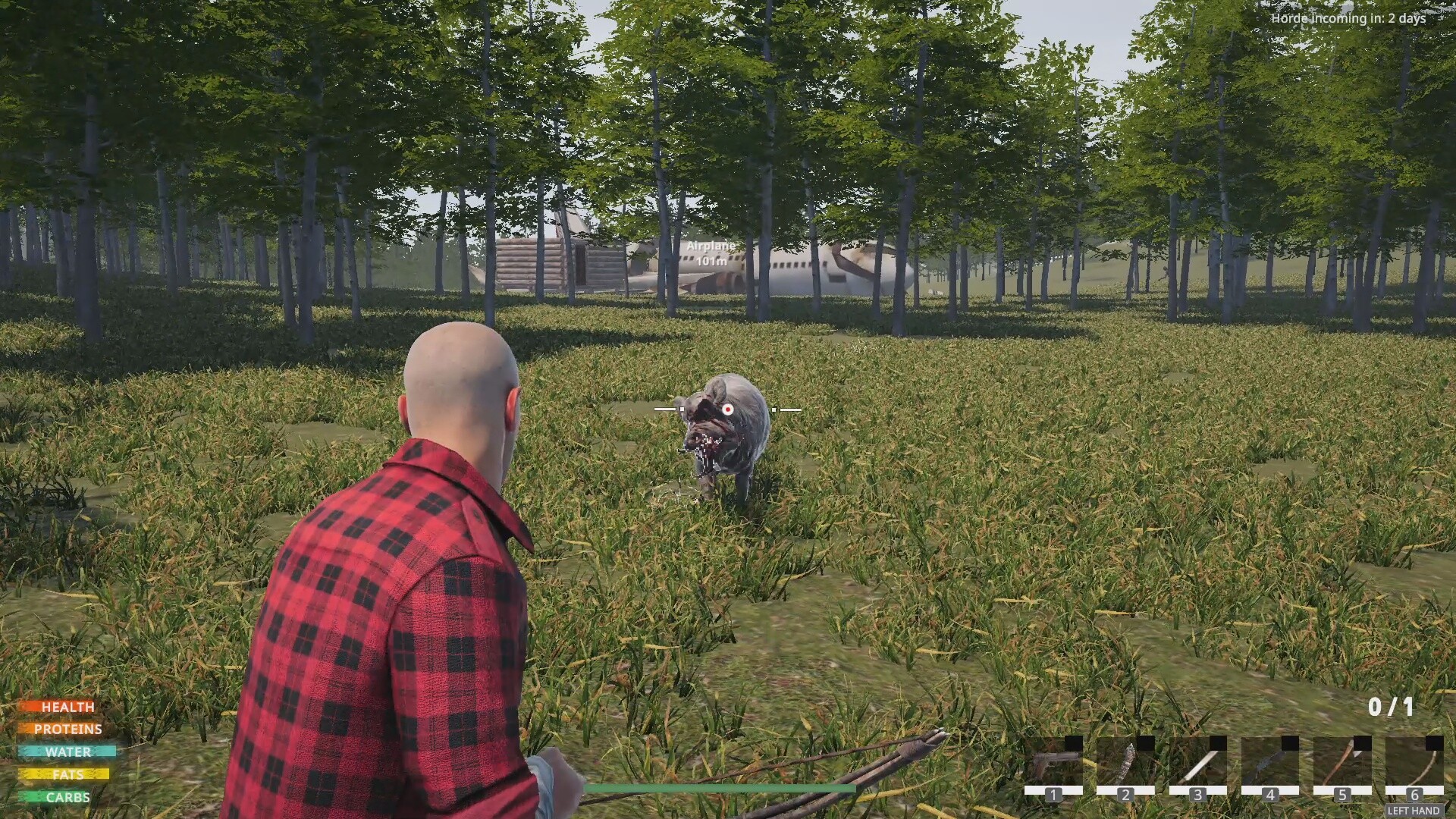 Lost Flight: Survival