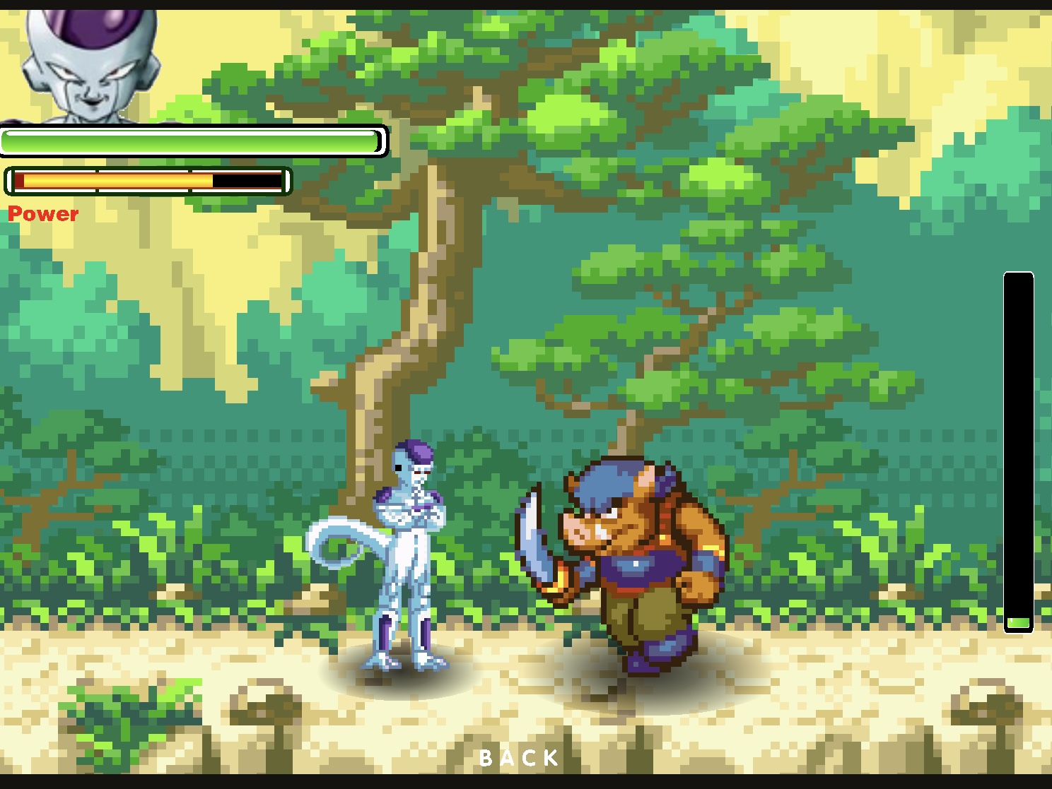 Dragon Ball Fierce Fighting