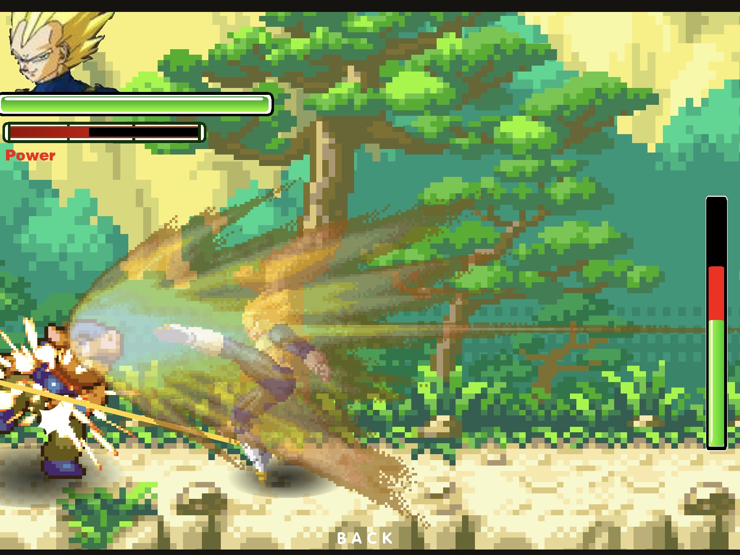 Dragon Ball Fierce Fighting