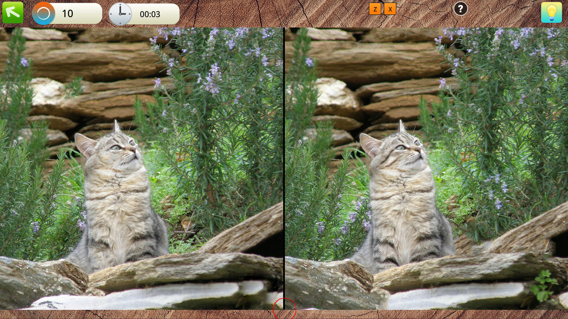 Peaceful Gardens 2: Cute Cats