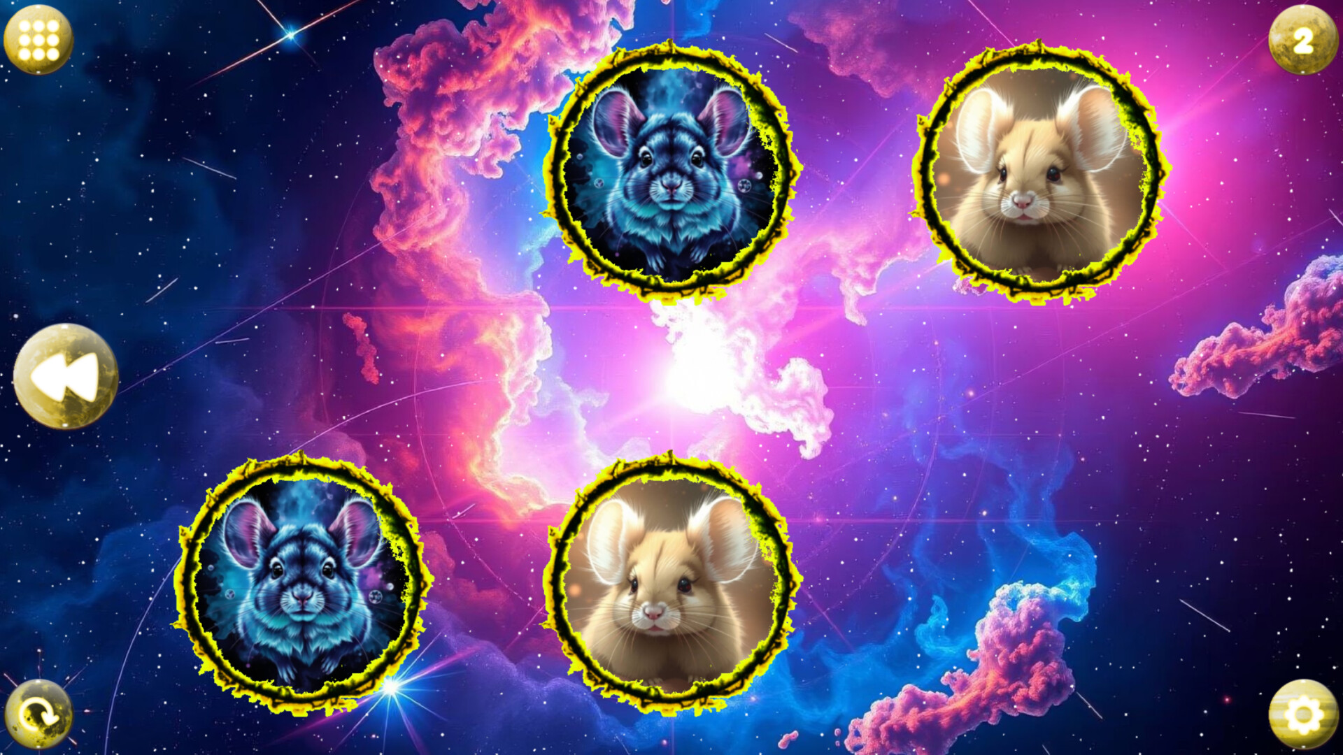 Space Memory: Chinchillas