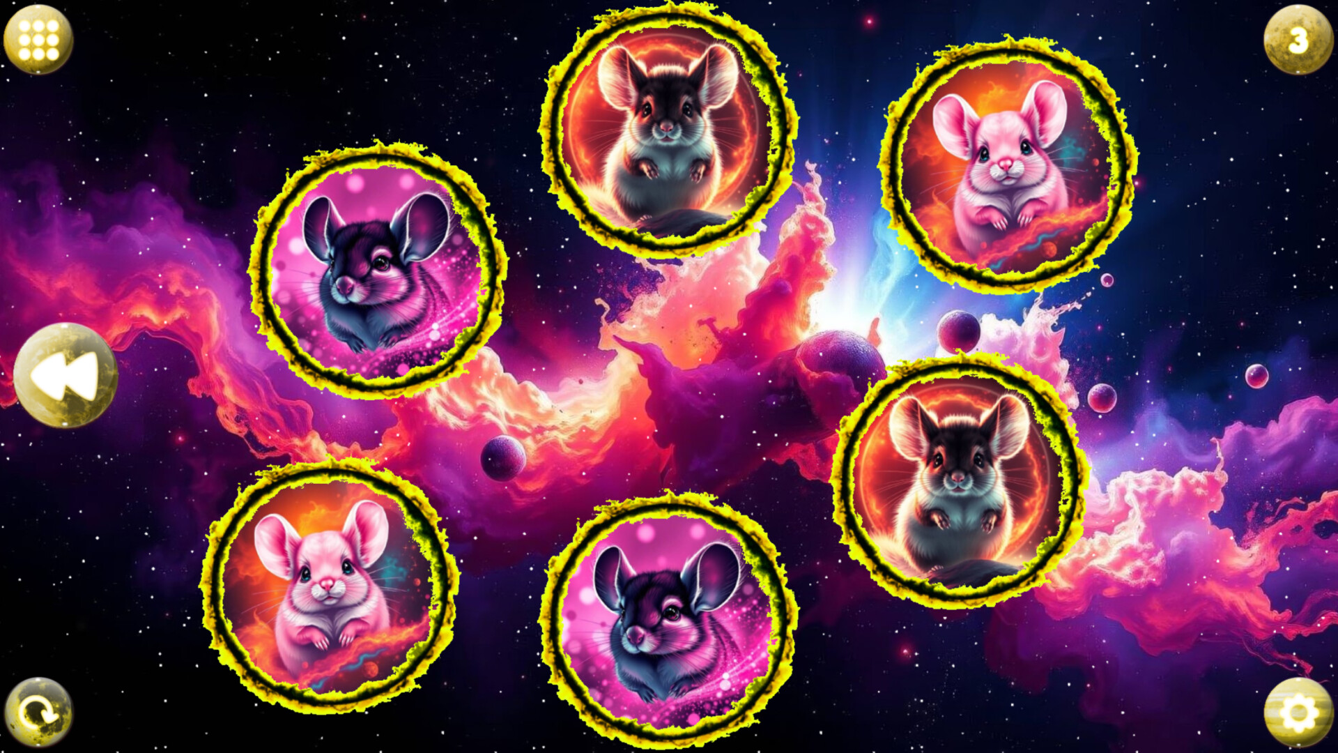 Space Memory: Chinchillas