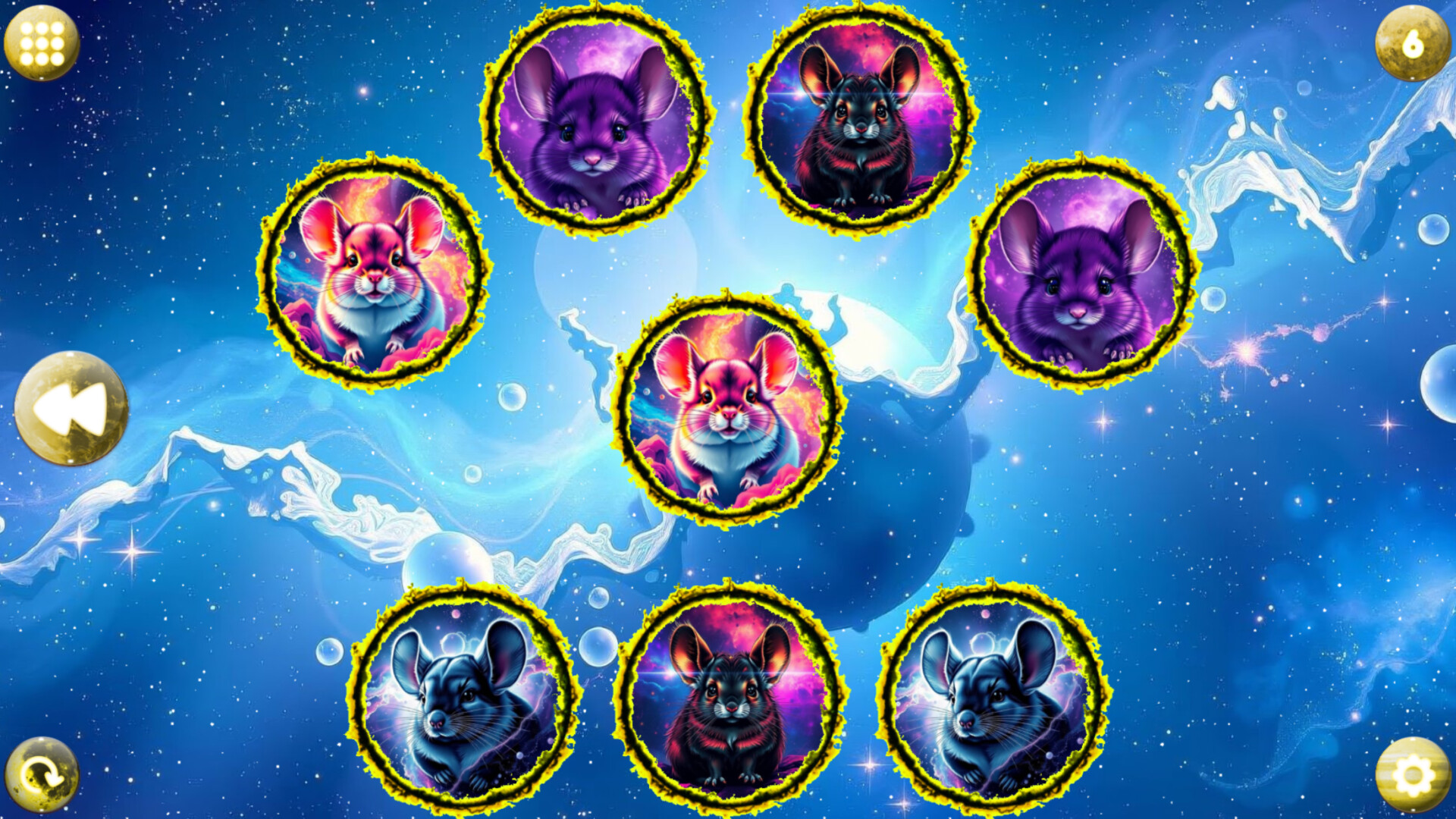 Space Memory: Chinchillas