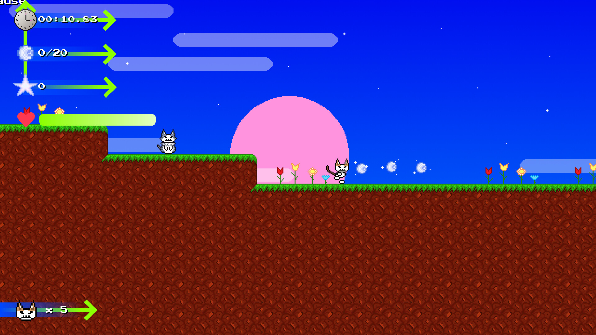 Catto Boi Collection