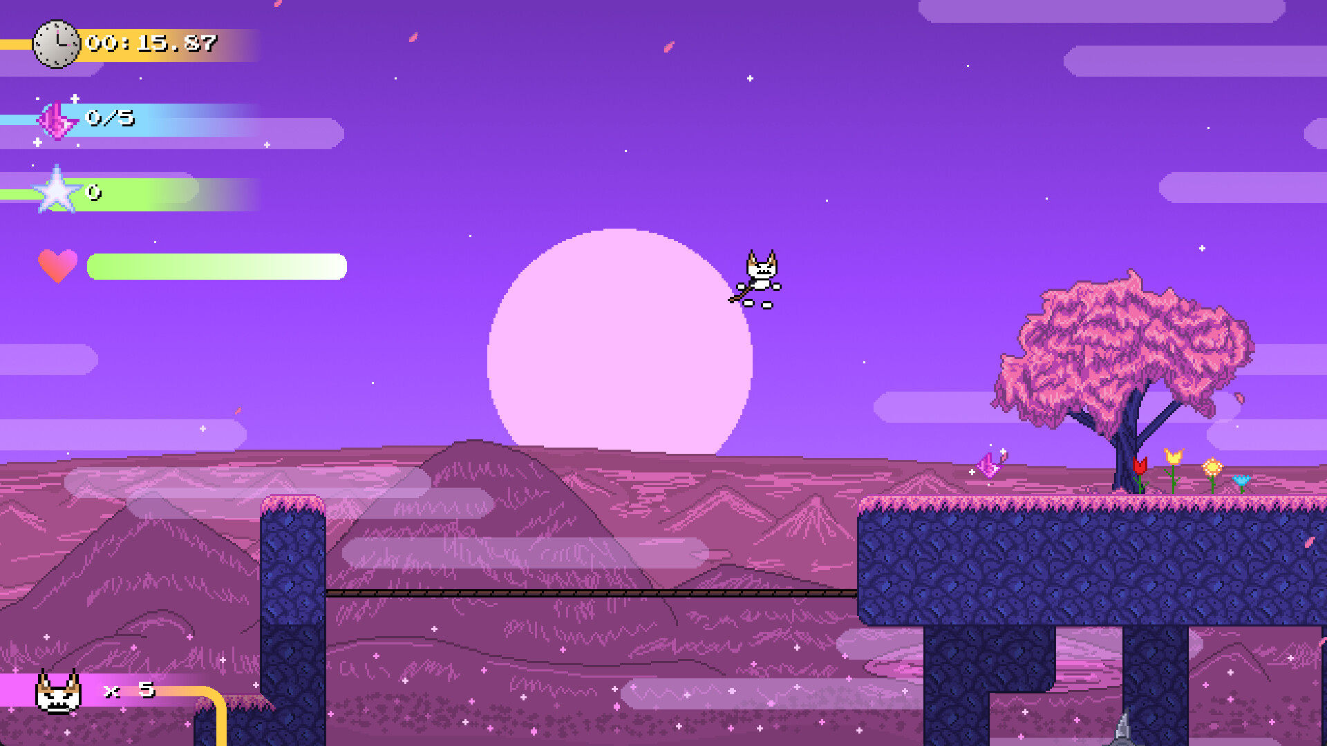 Catto Boi Collection